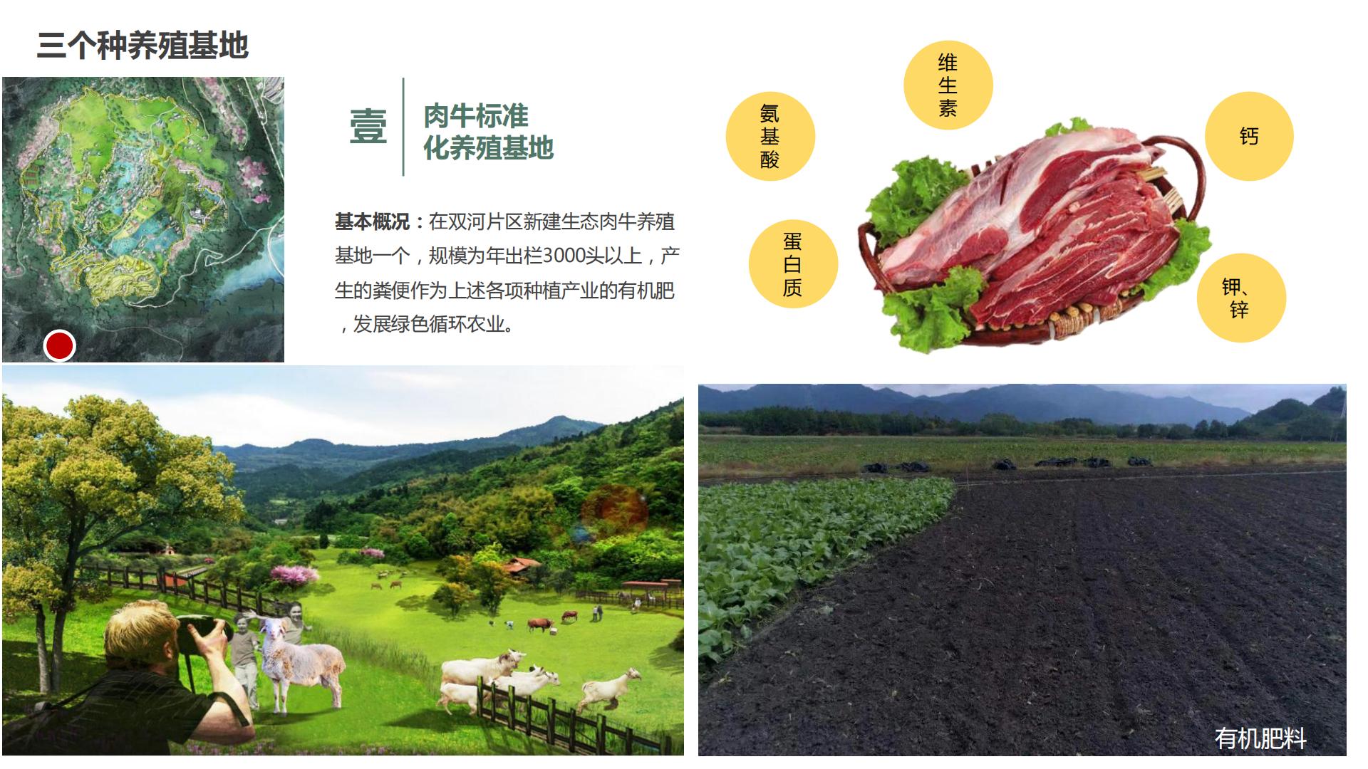 图片[113]-水富心寿桃源田园综合体总体规划方案文本 - 由甫网-由甫网