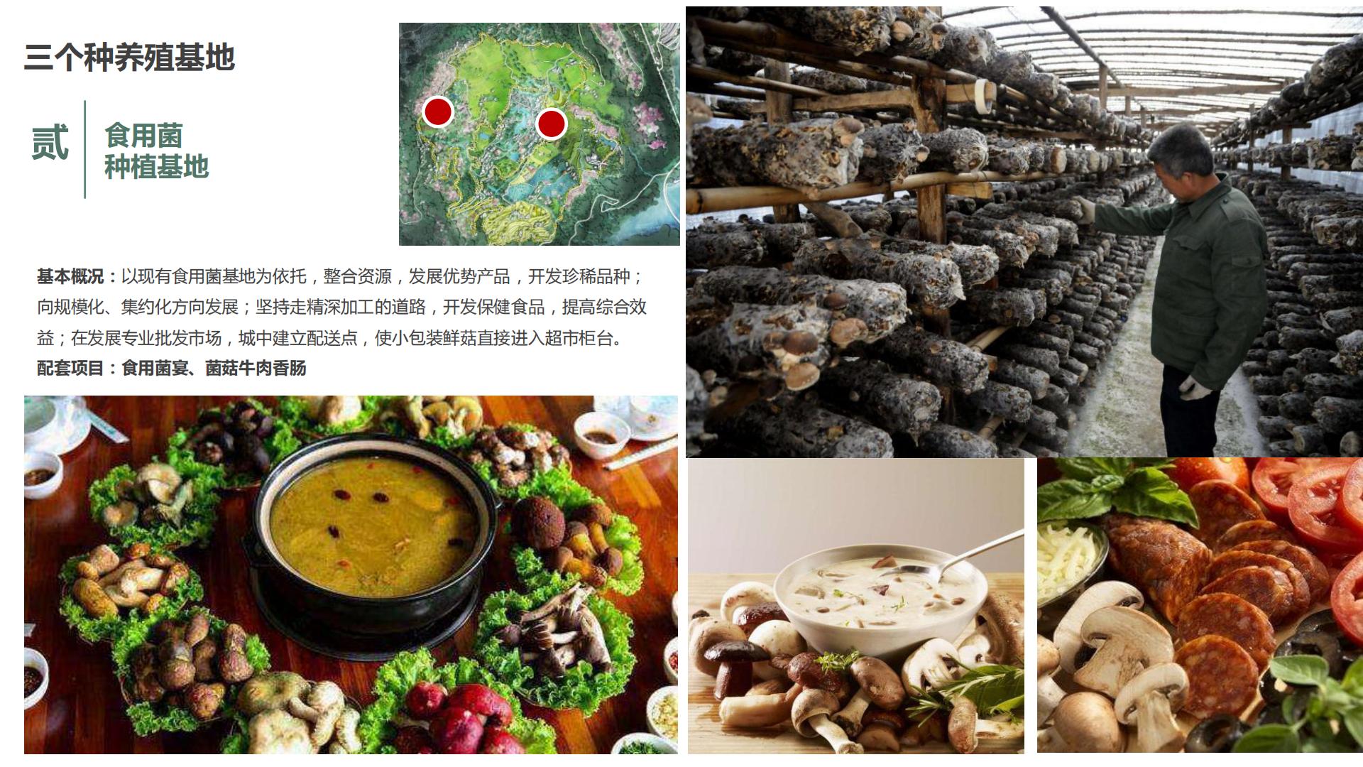 图片[114]-水富心寿桃源田园综合体总体规划方案文本 - 由甫网-由甫网