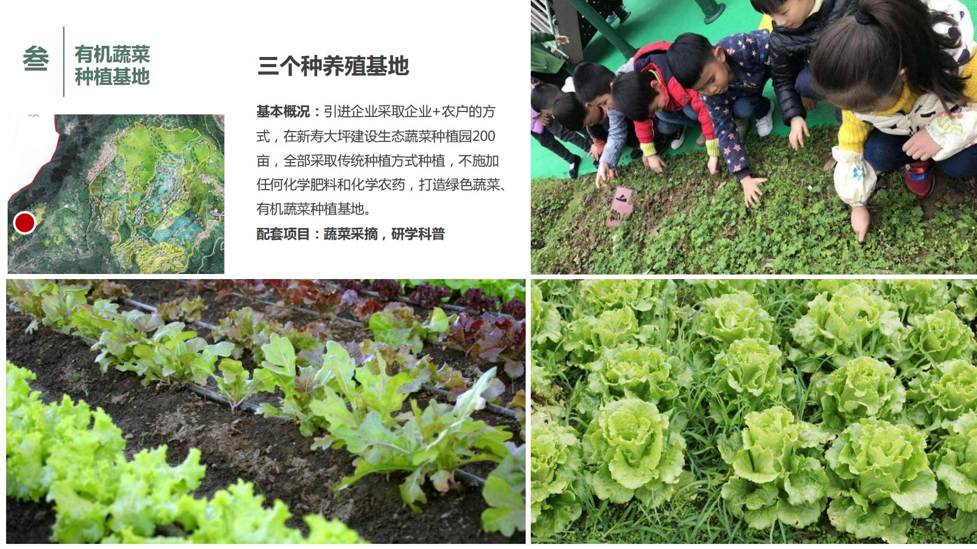 图片[115]-水富心寿桃源田园综合体总体规划方案文本 - 由甫网-由甫网