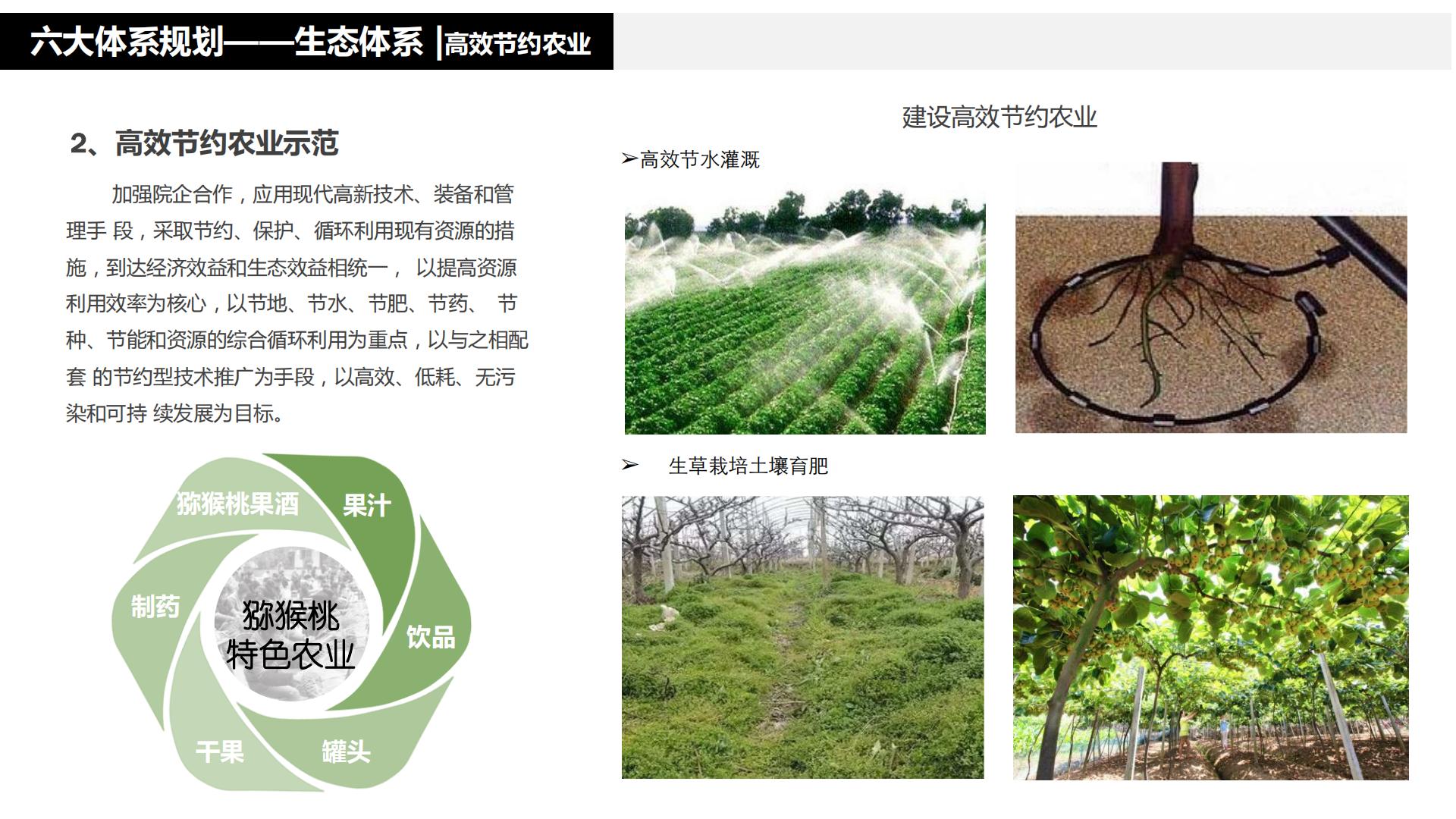 图片[117]-水富心寿桃源田园综合体总体规划方案文本 - 由甫网-由甫网