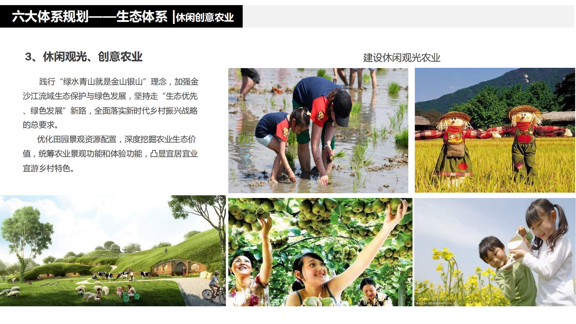 图片[118]-水富心寿桃源田园综合体总体规划方案文本 - 由甫网-由甫网