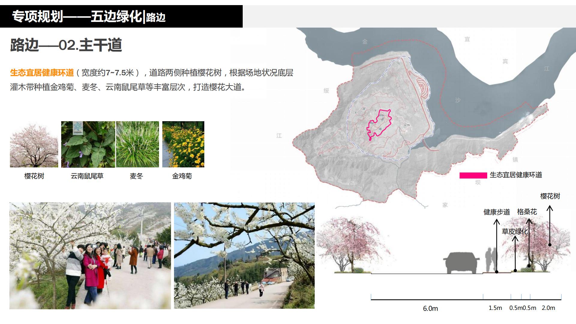 图片[165]-水富心寿桃源田园综合体总体规划方案文本 - 由甫网-由甫网