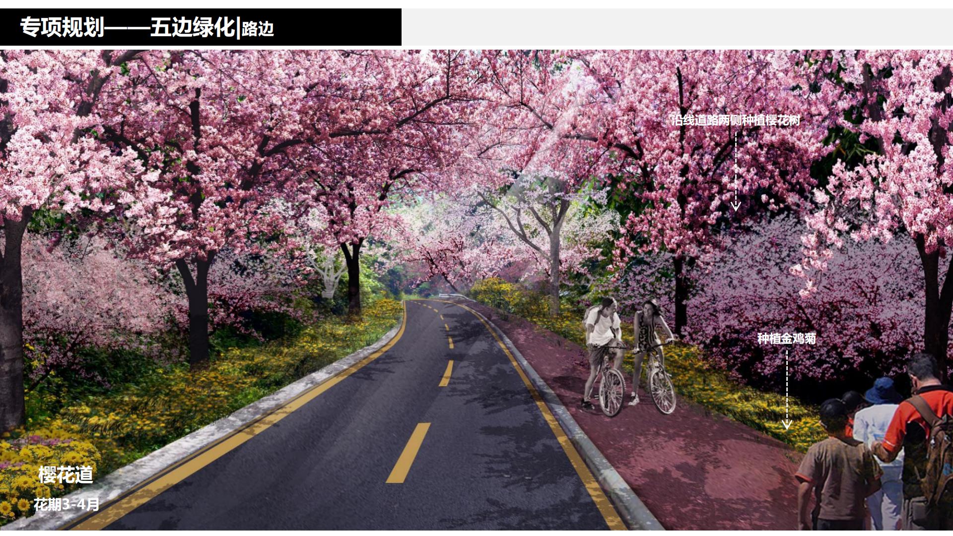 图片[166]-水富心寿桃源田园综合体总体规划方案文本 - 由甫网-由甫网