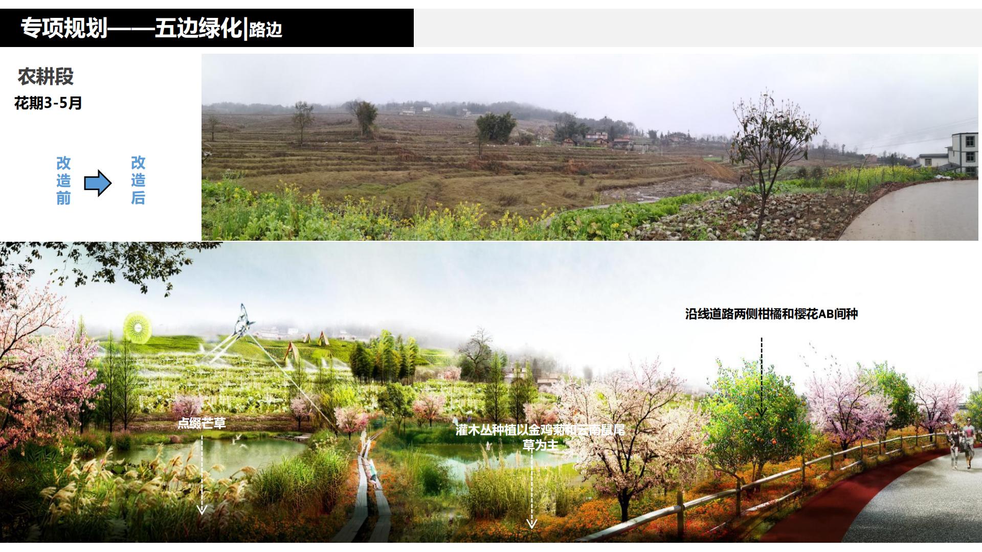 图片[169]-水富心寿桃源田园综合体总体规划方案文本 - 由甫网-由甫网