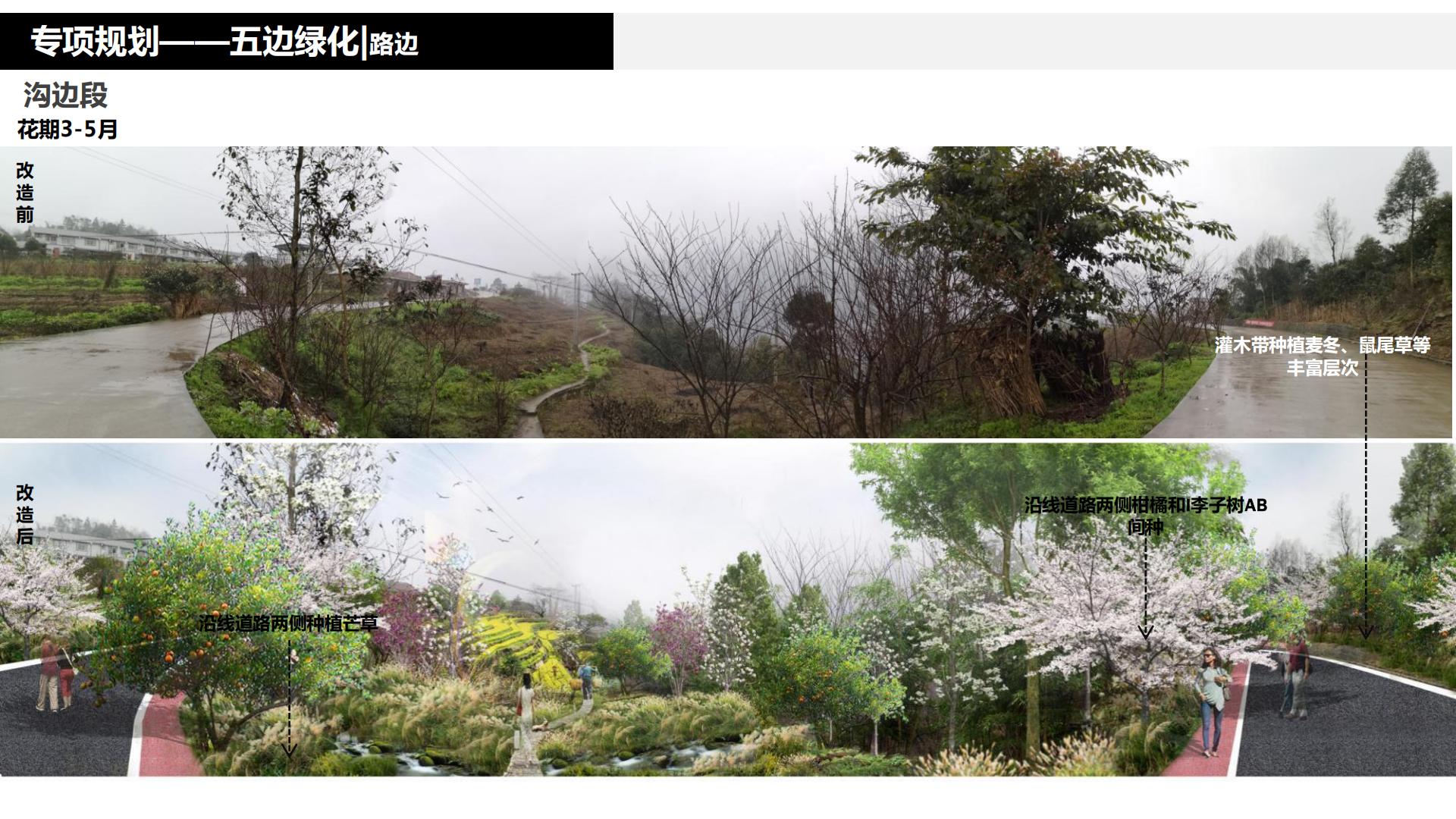 图片[170]-水富心寿桃源田园综合体总体规划方案文本 - 由甫网-由甫网