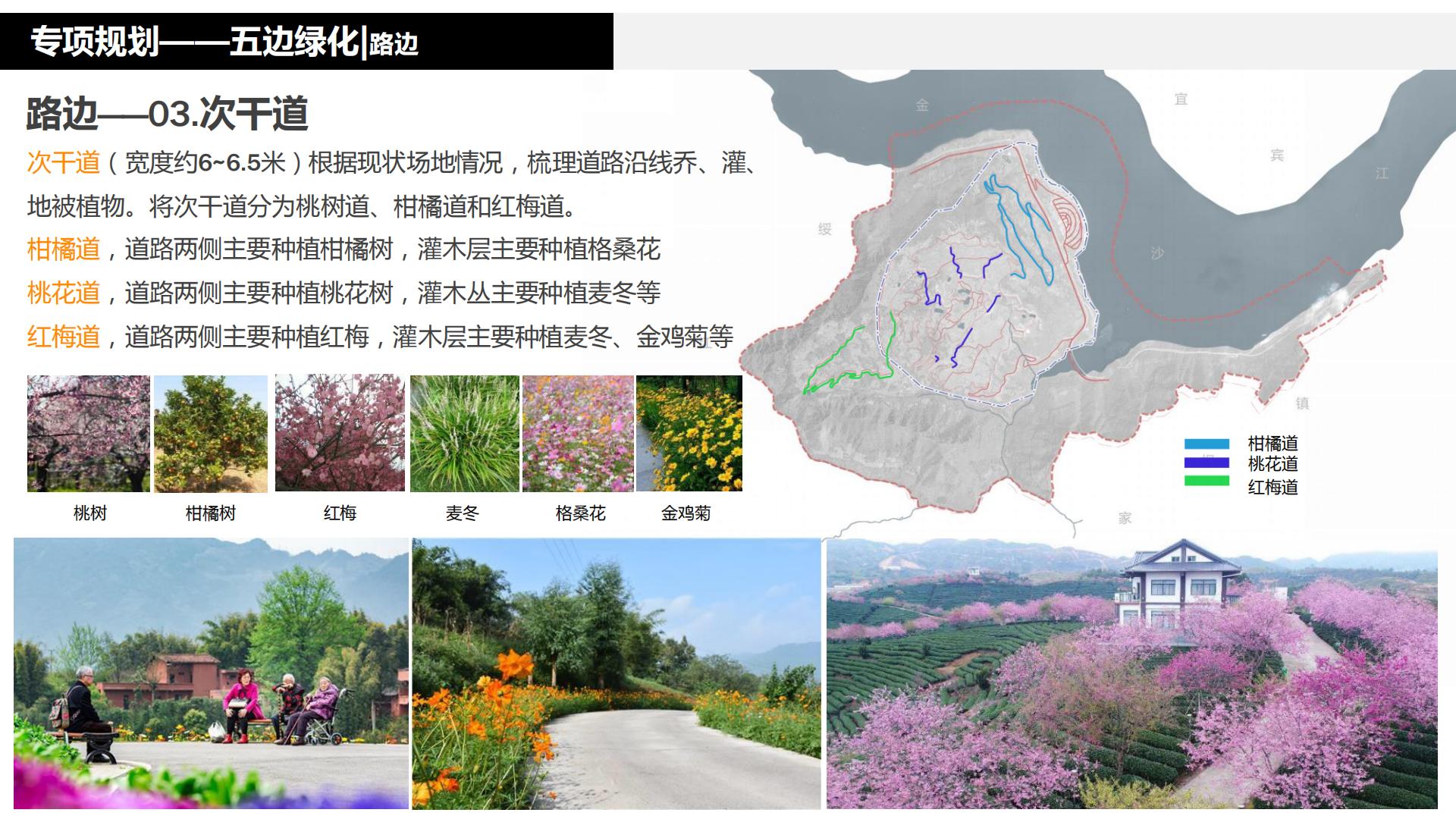 图片[171]-水富心寿桃源田园综合体总体规划方案文本 - 由甫网-由甫网