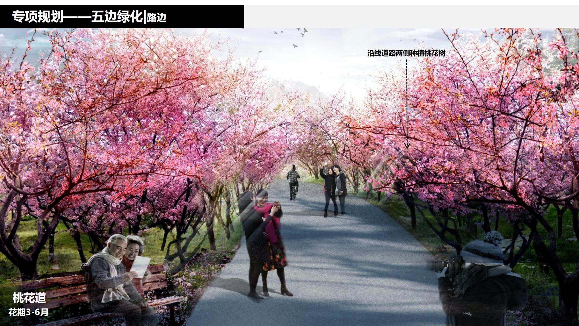 图片[173]-水富心寿桃源田园综合体总体规划方案文本 - 由甫网-由甫网