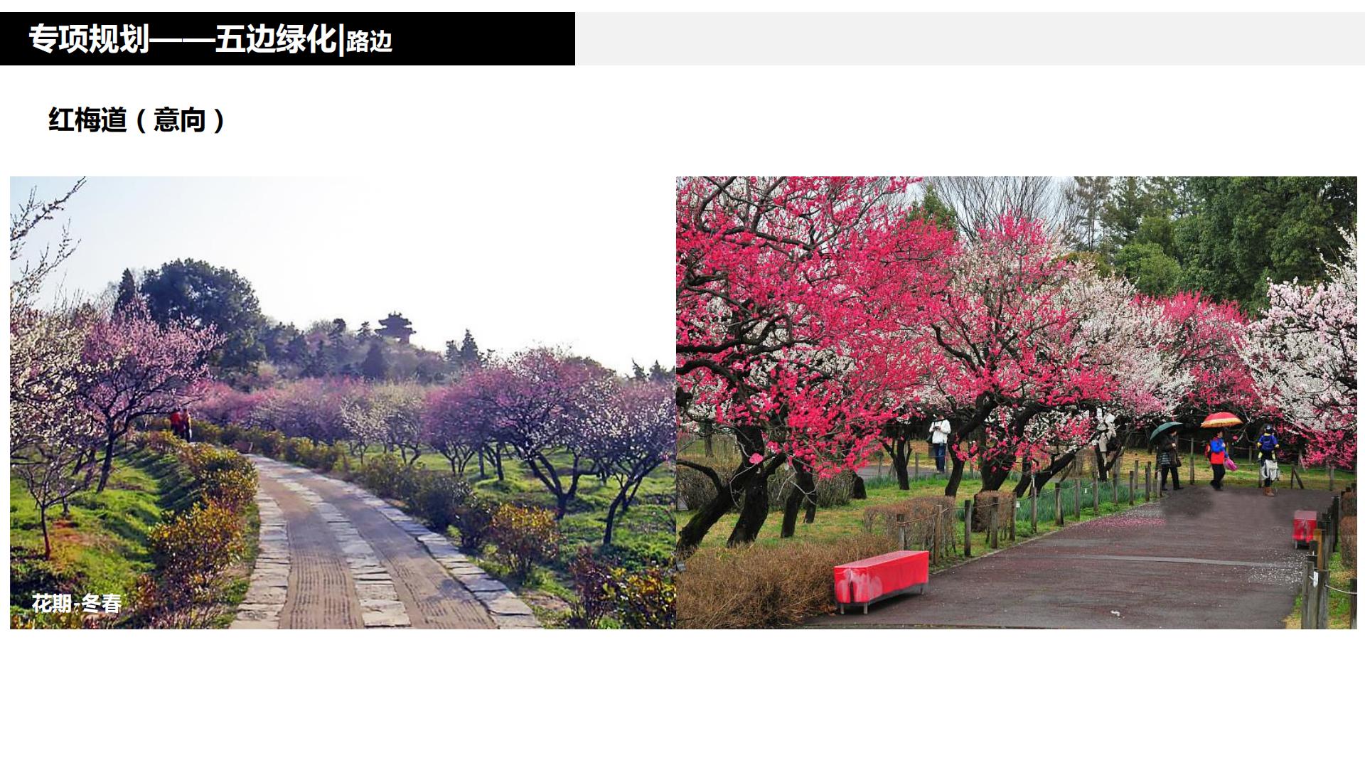 图片[174]-水富心寿桃源田园综合体总体规划方案文本 - 由甫网-由甫网