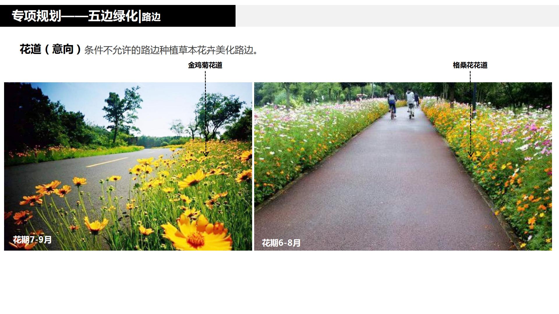 图片[175]-水富心寿桃源田园综合体总体规划方案文本 - 由甫网-由甫网