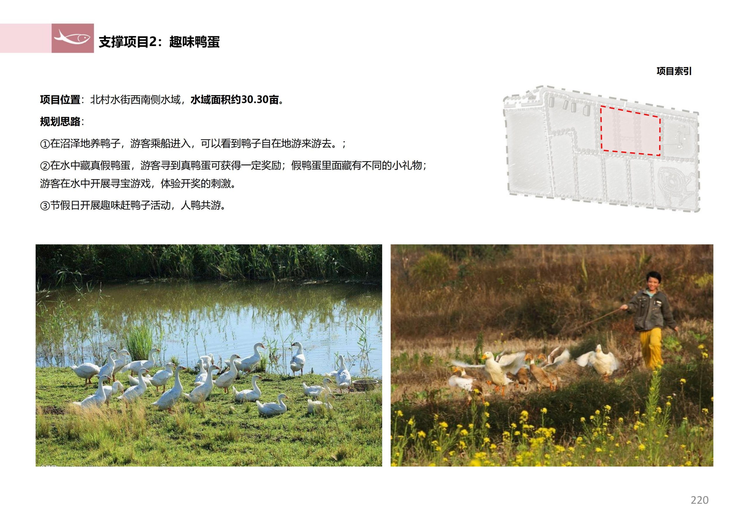 图片[218]-徐州北村特色田园乡村核心节点修建性详细规划 - 由甫网-由甫网