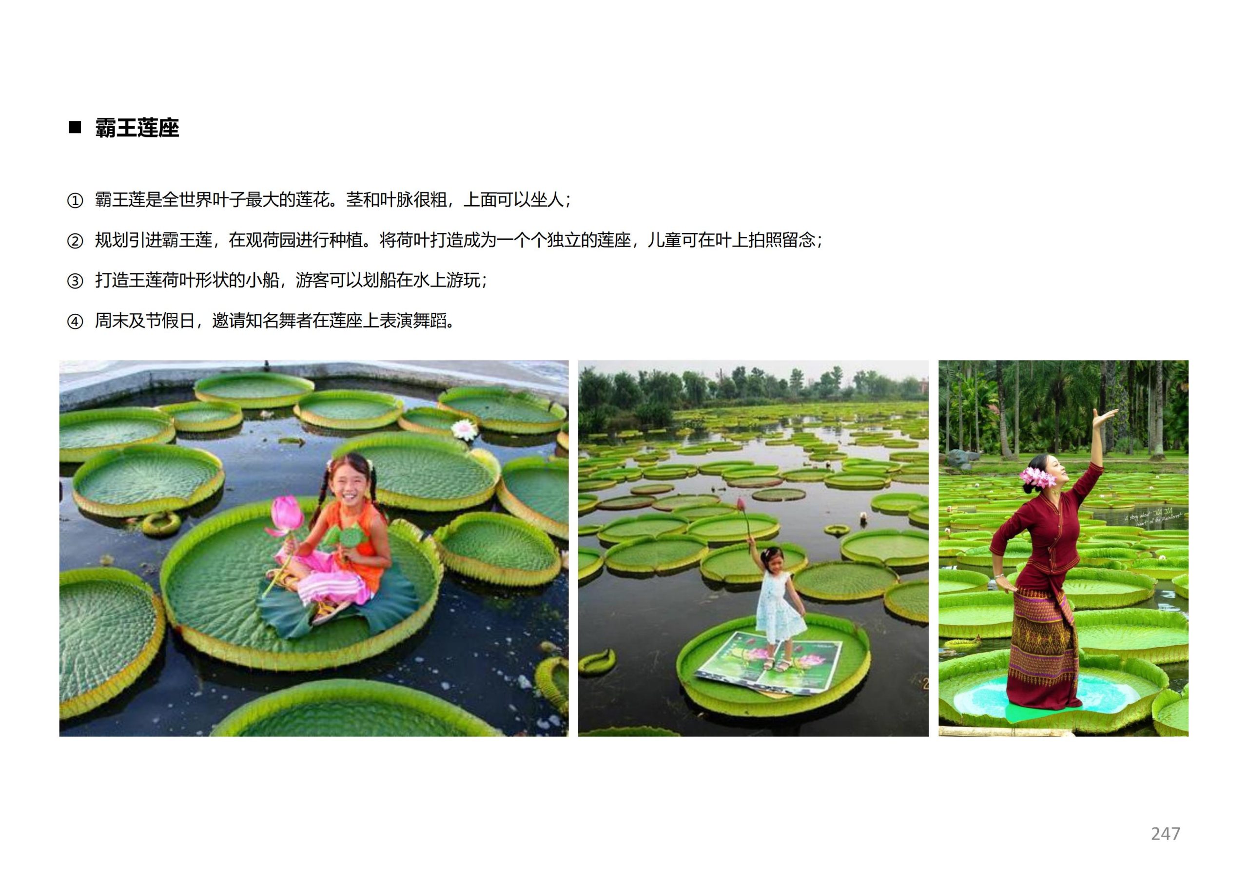 图片[245]-徐州北村特色田园乡村核心节点修建性详细规划 - 由甫网-由甫网