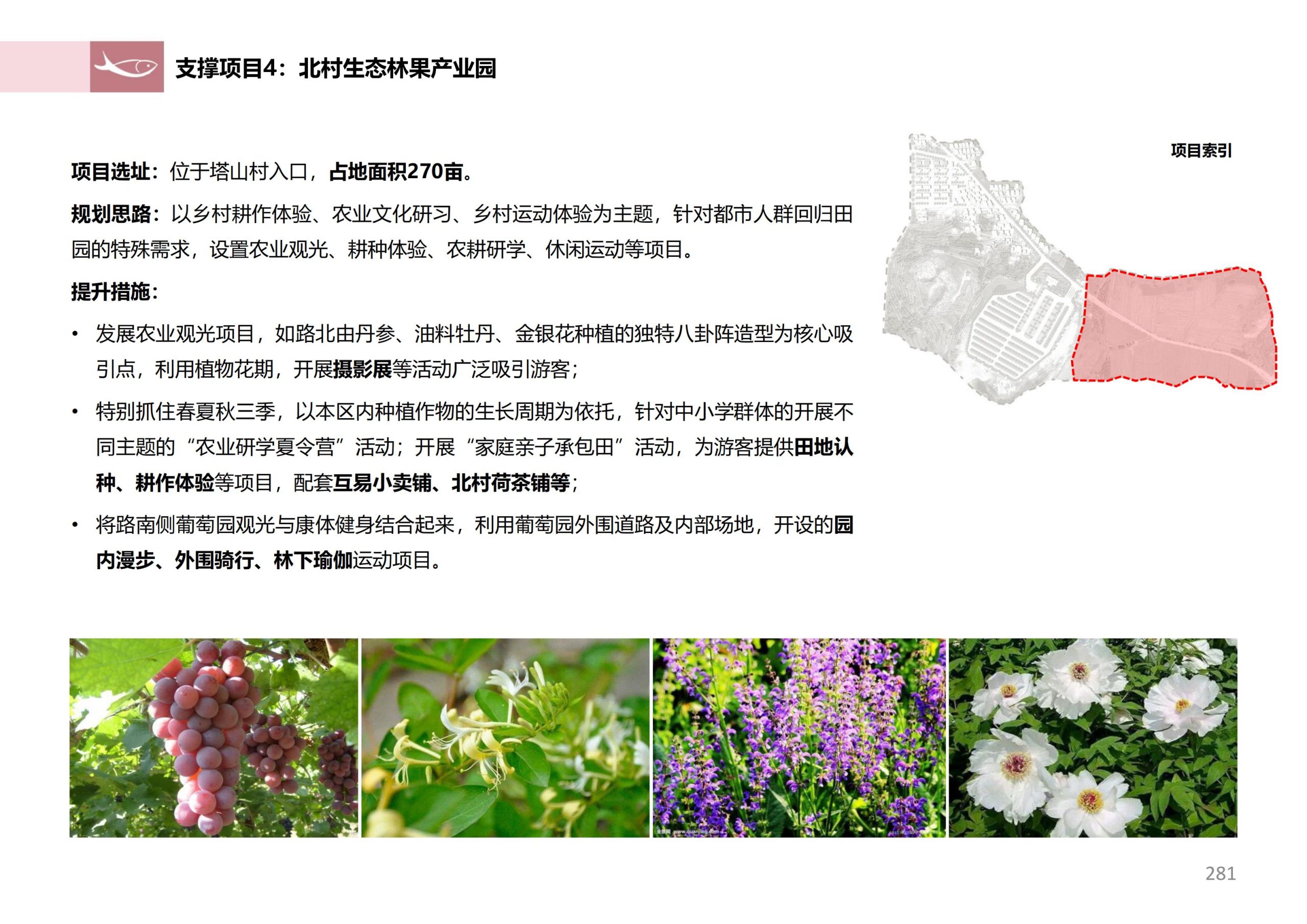 图片[279]-徐州北村特色田园乡村核心节点修建性详细规划 - 由甫网-由甫网