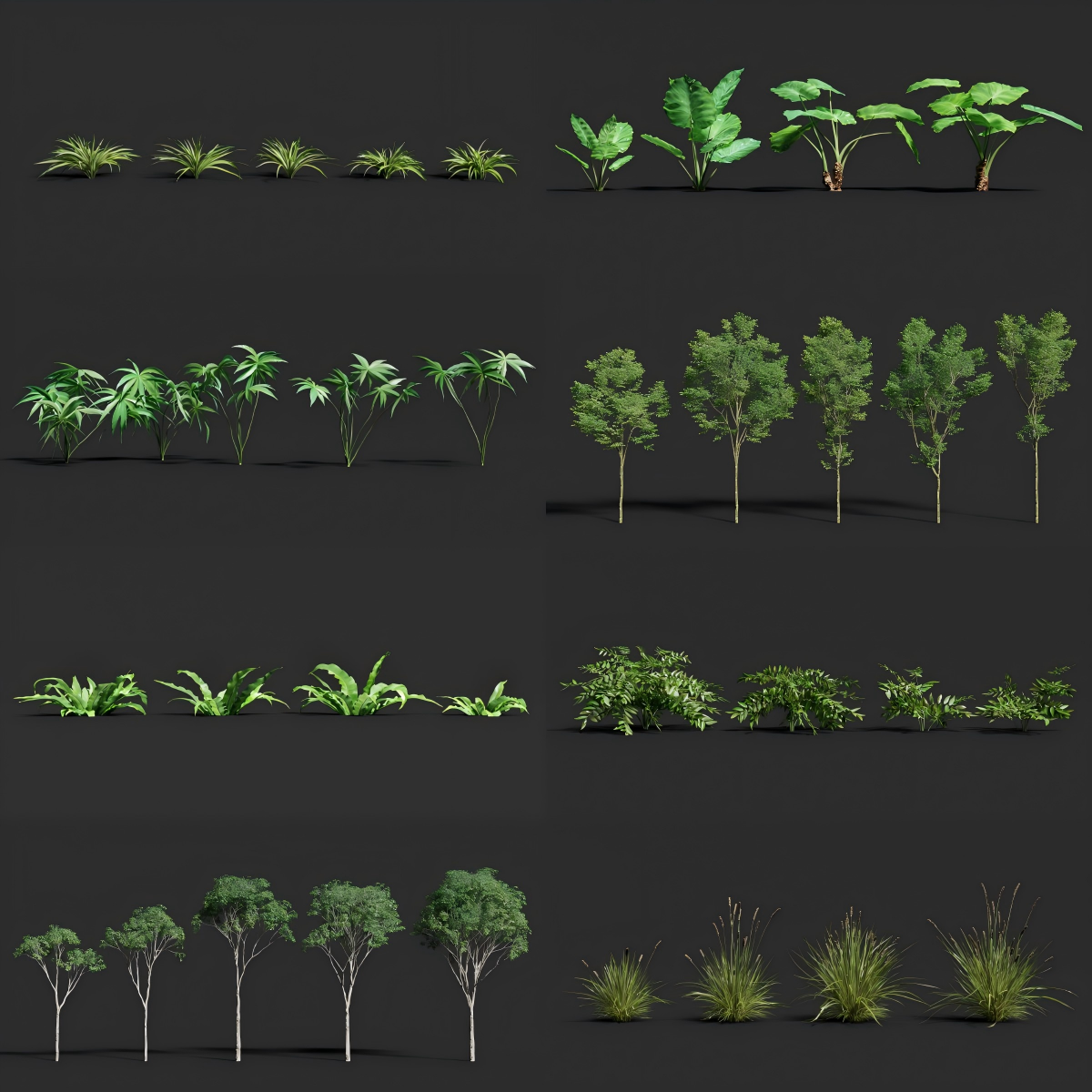 Blender插件植被丛林花草热带树木灌木植物动态模型预设包资产库-由甫网