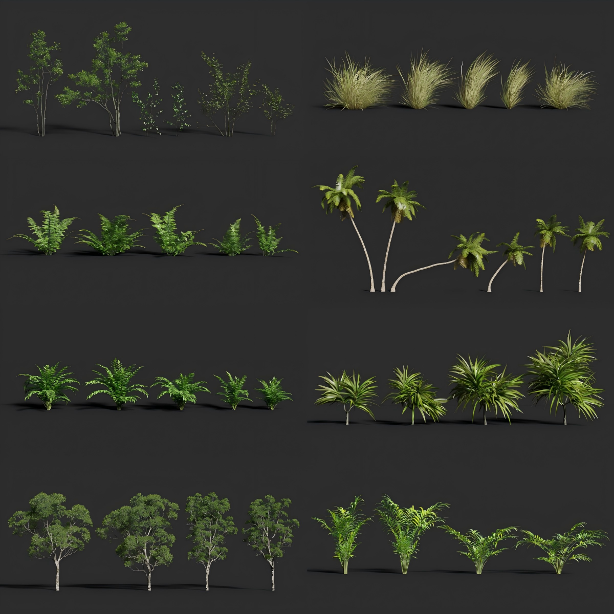 图片[2]-Blender插件植被丛林花草热带树木灌木植物动态模型预设包资产库 - 由甫网-由甫网