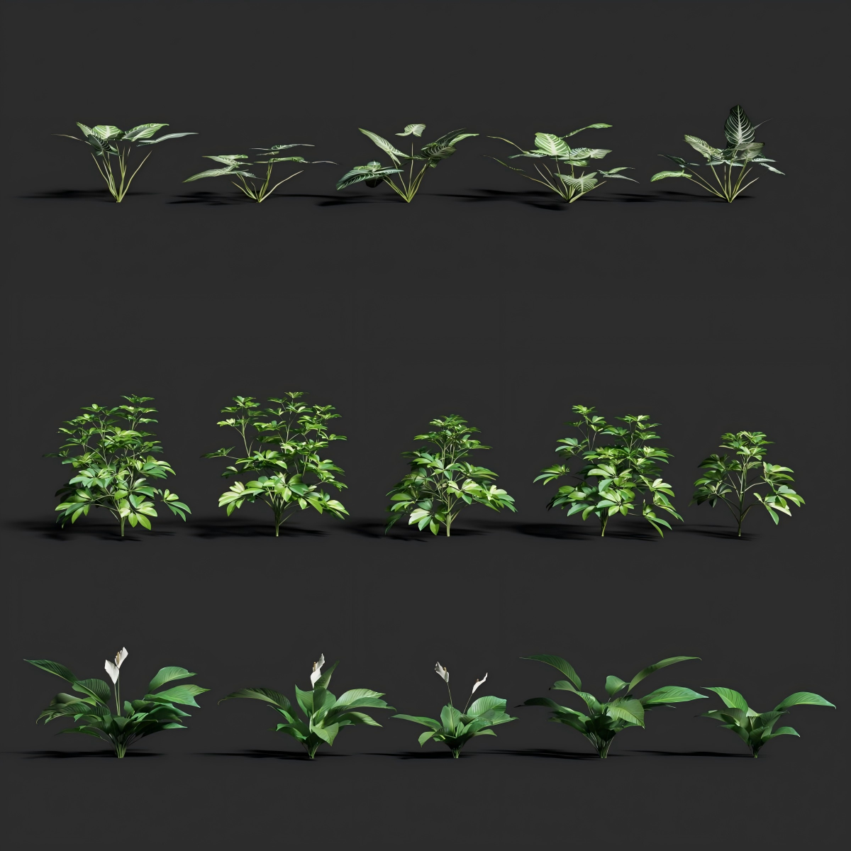 图片[4]-Blender插件植被丛林花草热带树木灌木植物动态模型预设包资产库 - 由甫网-由甫网