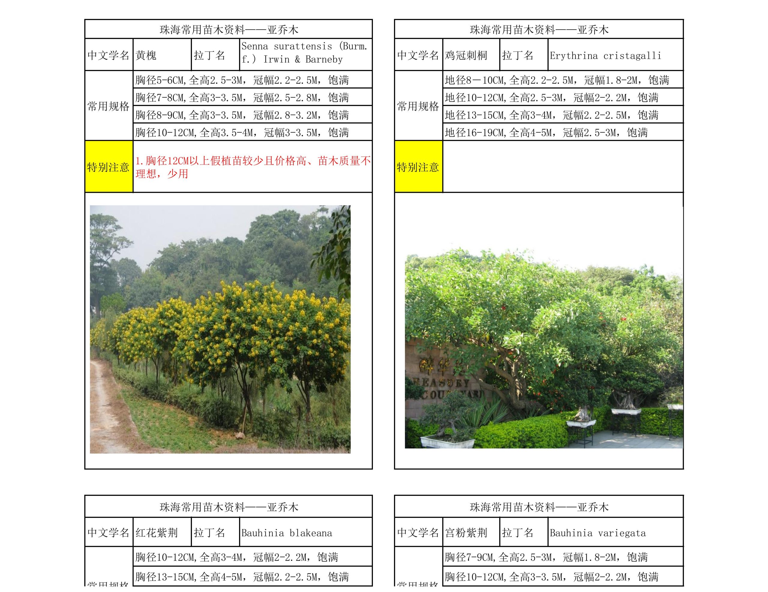 图片[7]-珠海常用苗木资料 - 由甫网-由甫网