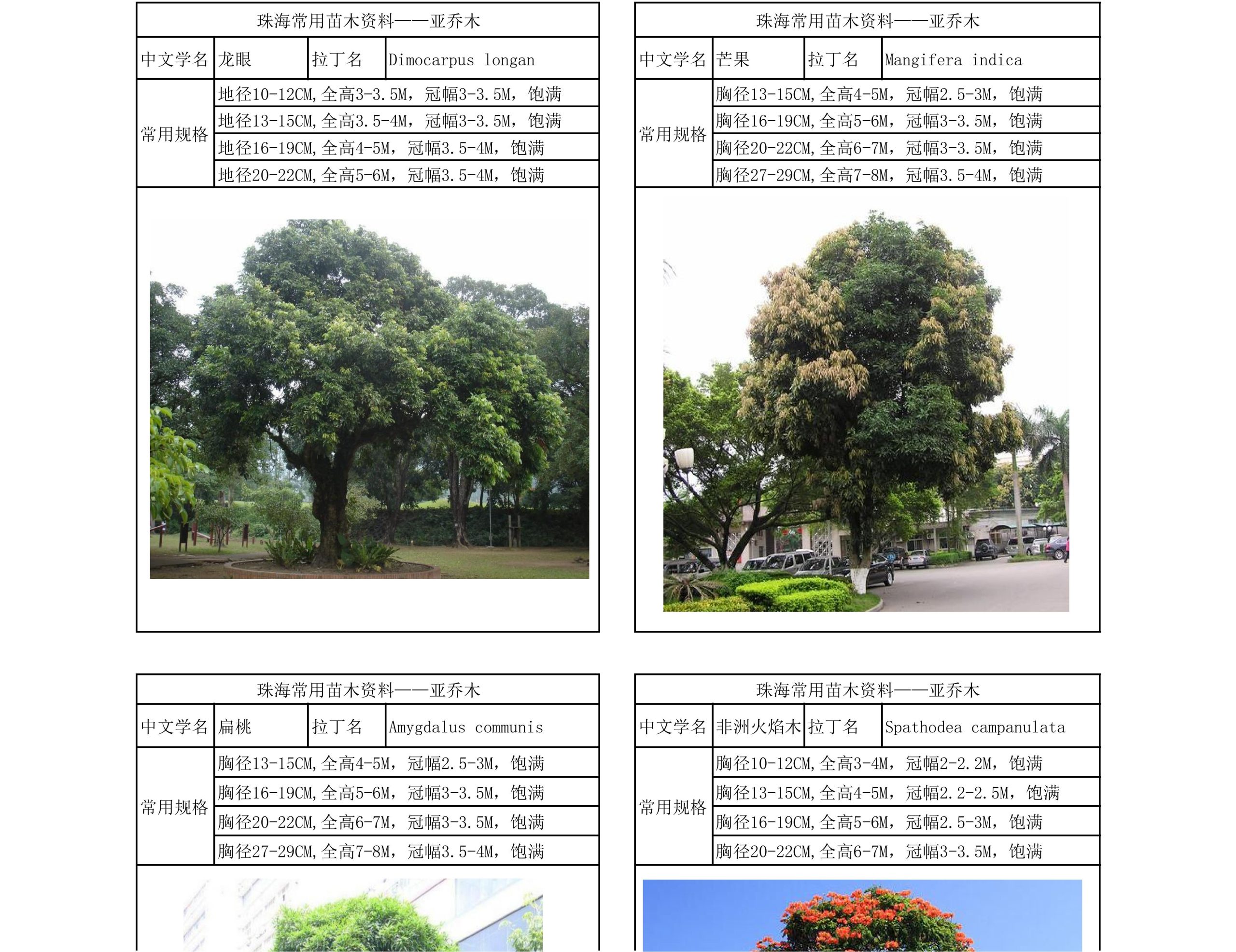图片[10]-珠海常用苗木资料 - 由甫网-由甫网