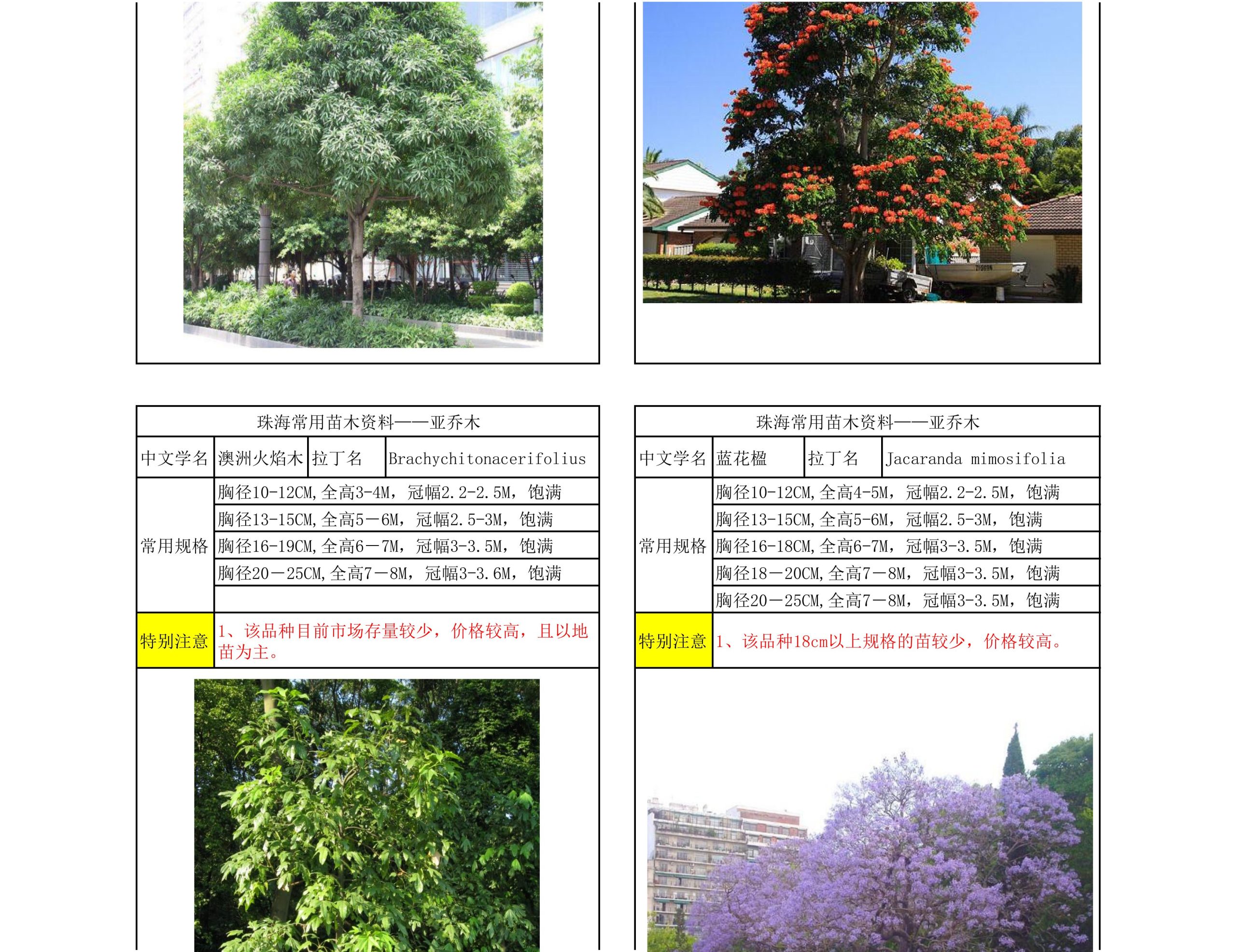 图片[11]-珠海常用苗木资料 - 由甫网-由甫网