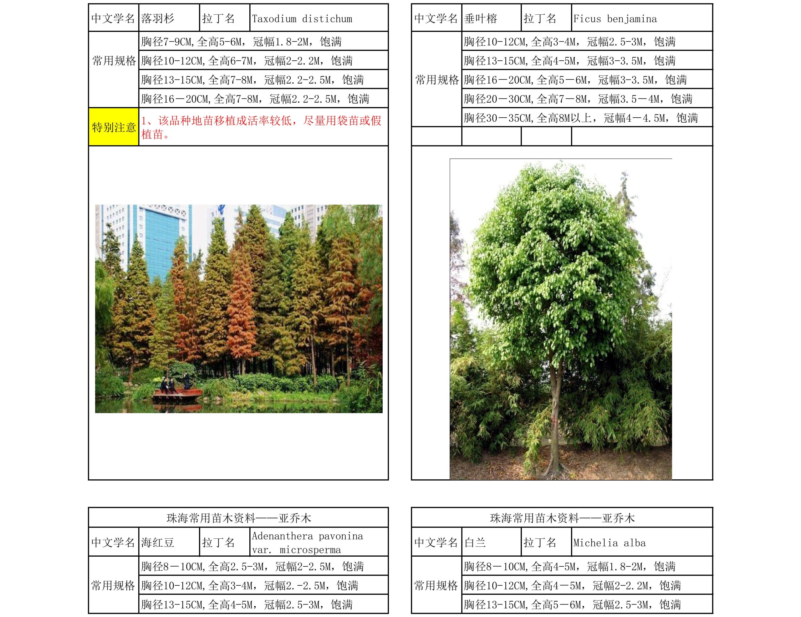 图片[14]-珠海常用苗木资料 - 由甫网-由甫网