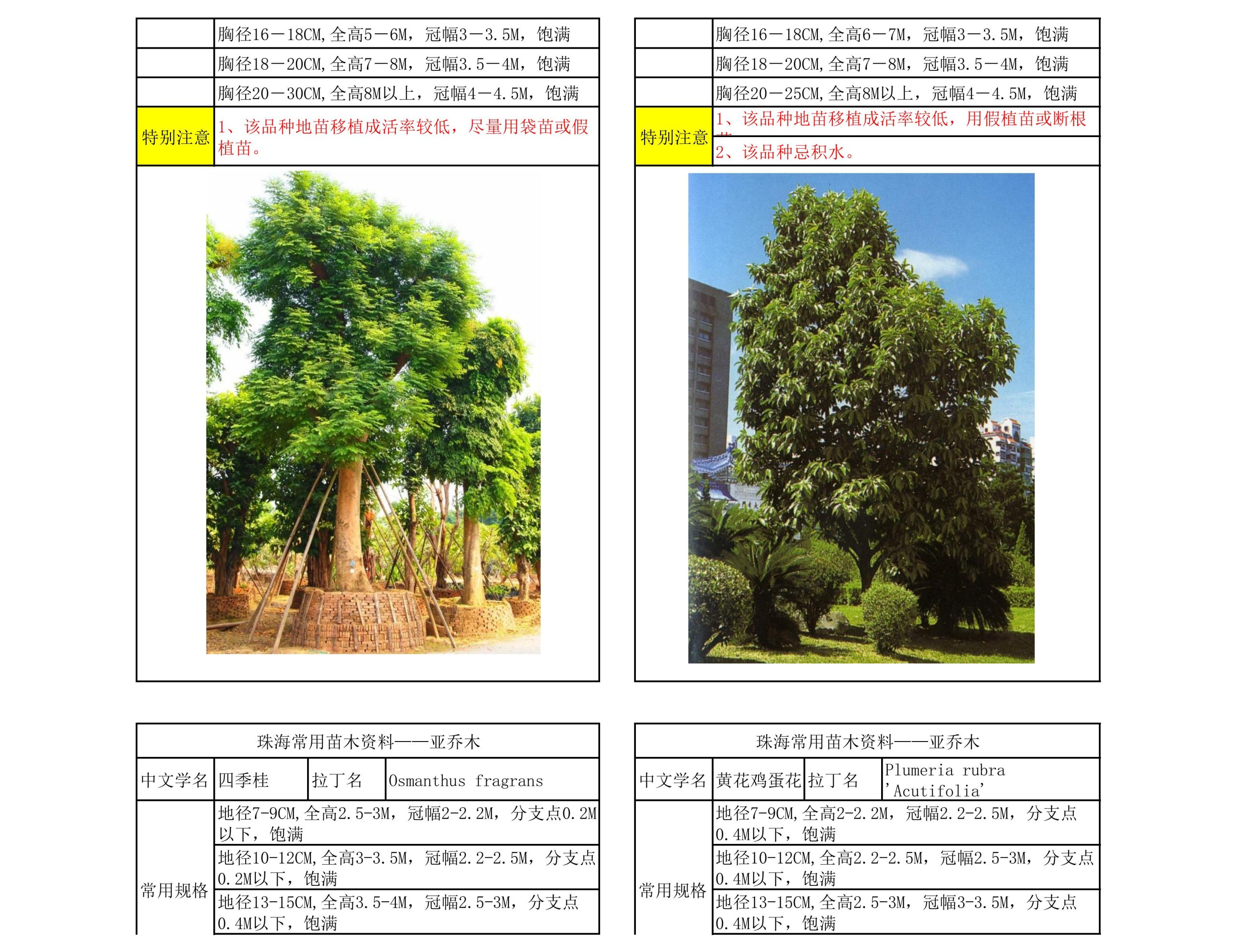 图片[15]-珠海常用苗木资料 - 由甫网-由甫网