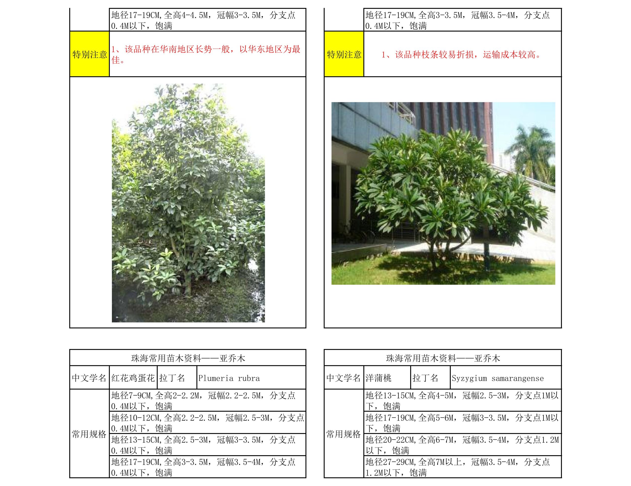 图片[16]-珠海常用苗木资料 - 由甫网-由甫网