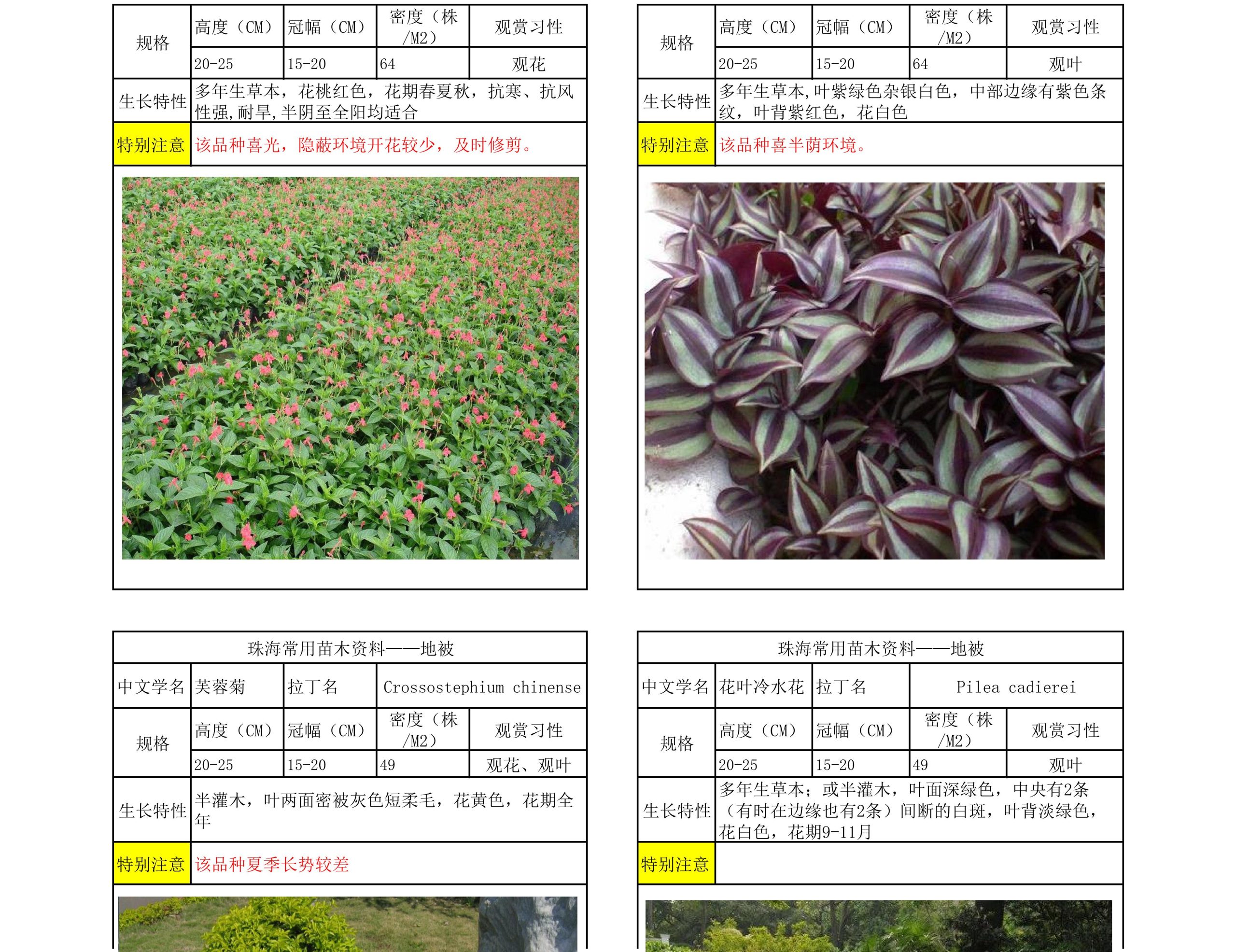 图片[29]-珠海常用苗木资料 - 由甫网-由甫网