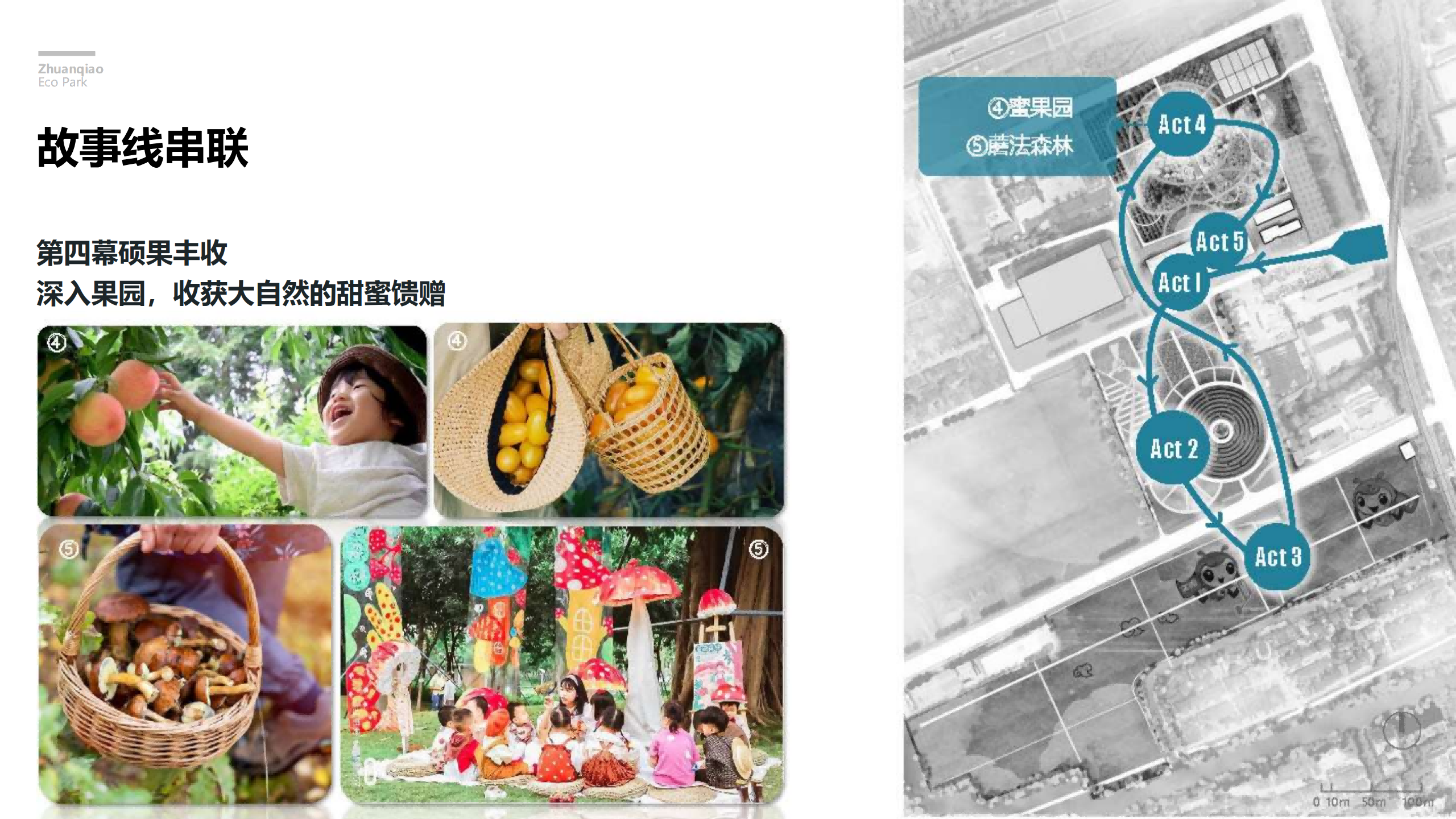 图片[131]-闵行·颛桥中心村生态园策划与规划设计 - 由甫网-由甫网