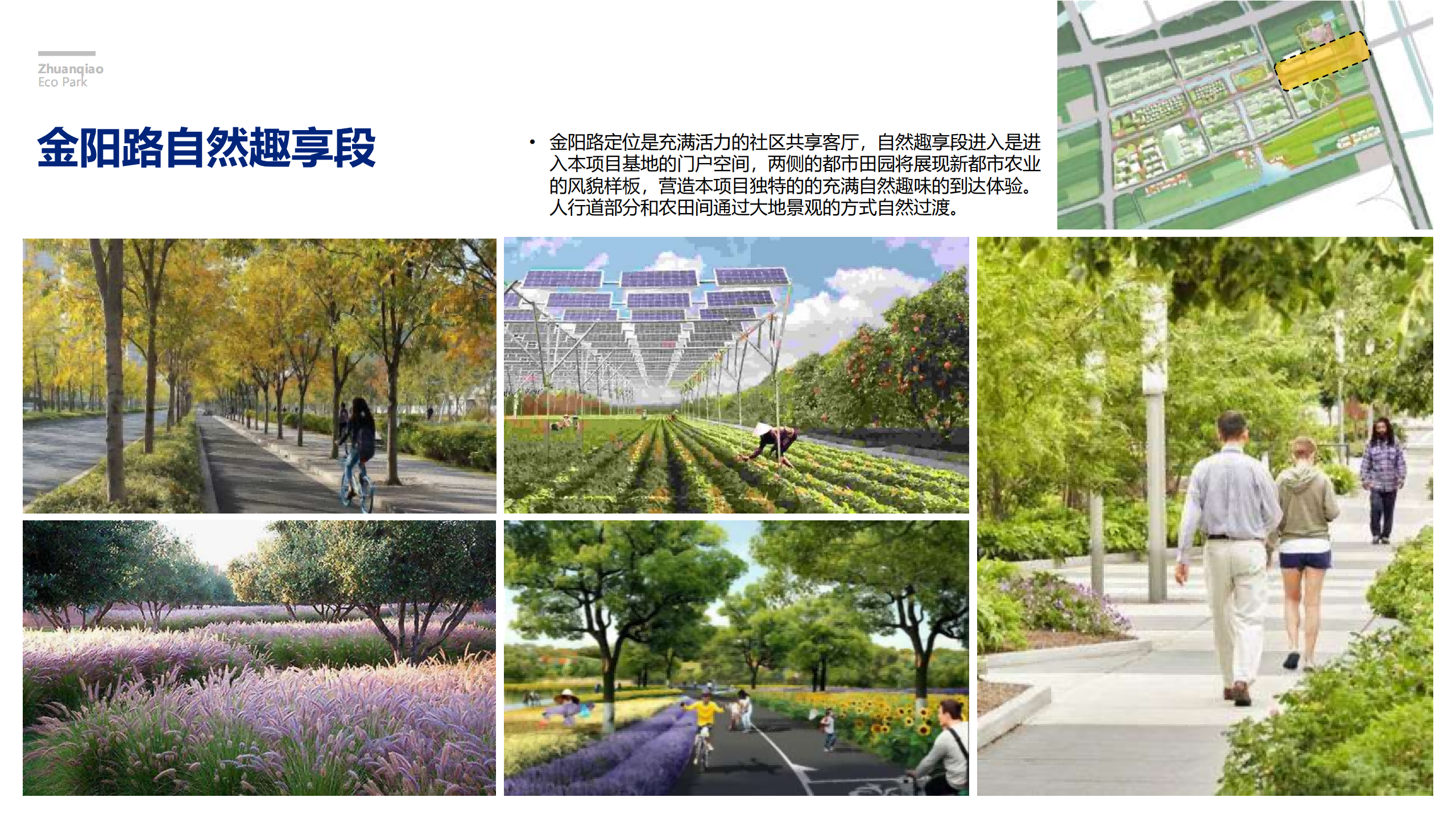 图片[228]-闵行·颛桥中心村生态园策划与规划设计 - 由甫网-由甫网