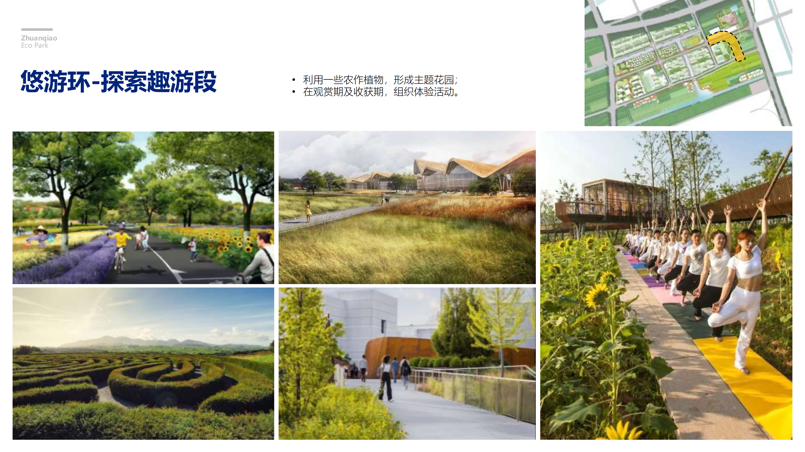 图片[241]-闵行·颛桥中心村生态园策划与规划设计 - 由甫网-由甫网