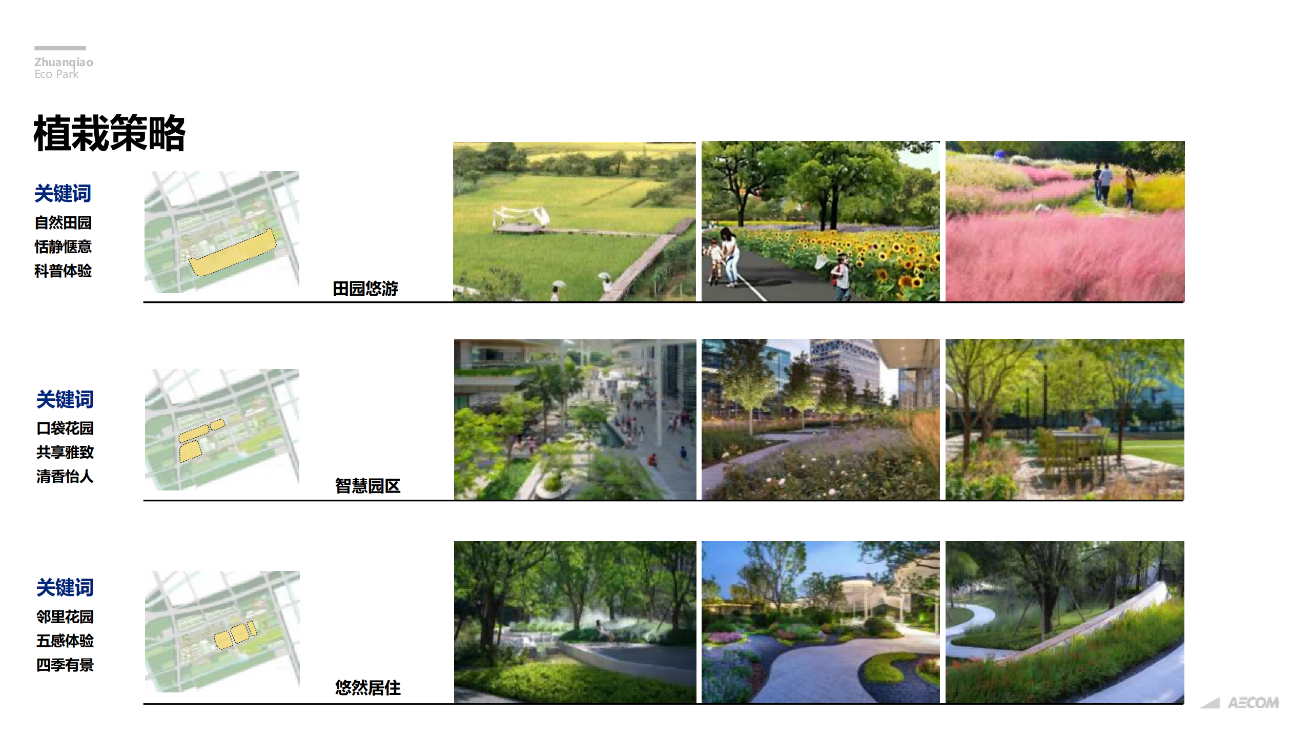 图片[256]-闵行·颛桥中心村生态园策划与规划设计 - 由甫网-由甫网