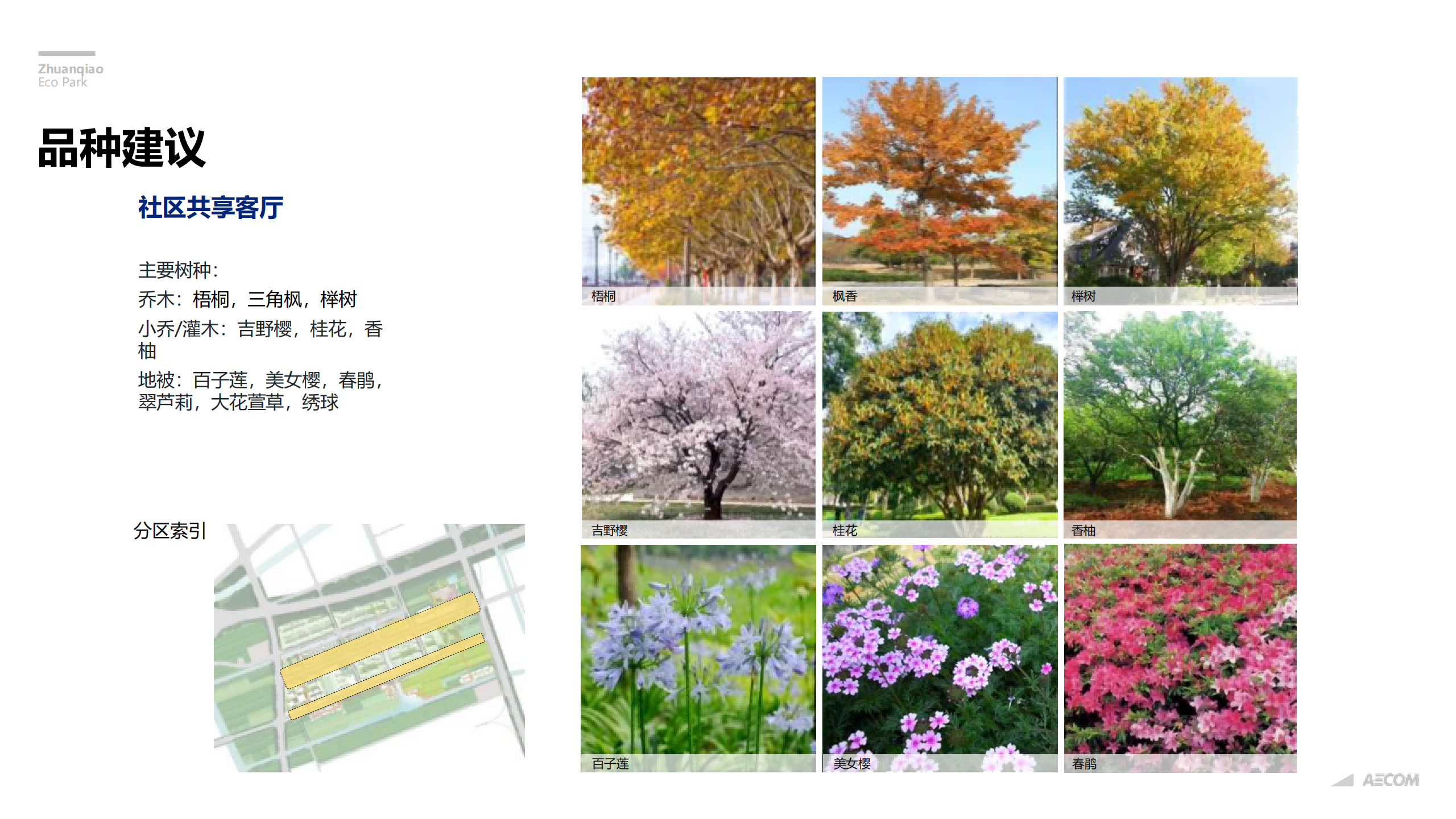 图片[257]-闵行·颛桥中心村生态园策划与规划设计 - 由甫网-由甫网