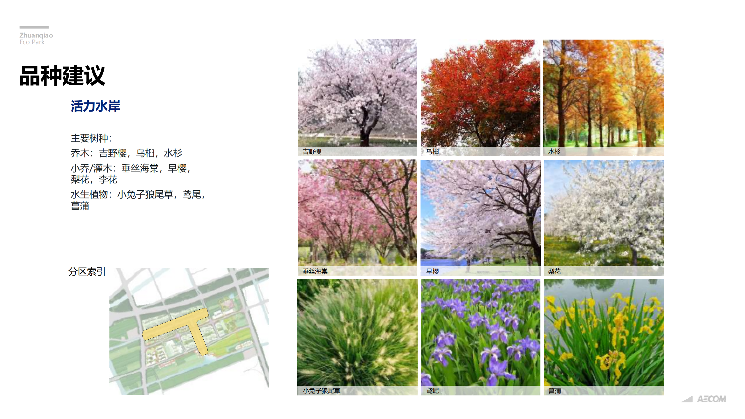 图片[258]-闵行·颛桥中心村生态园策划与规划设计 - 由甫网-由甫网