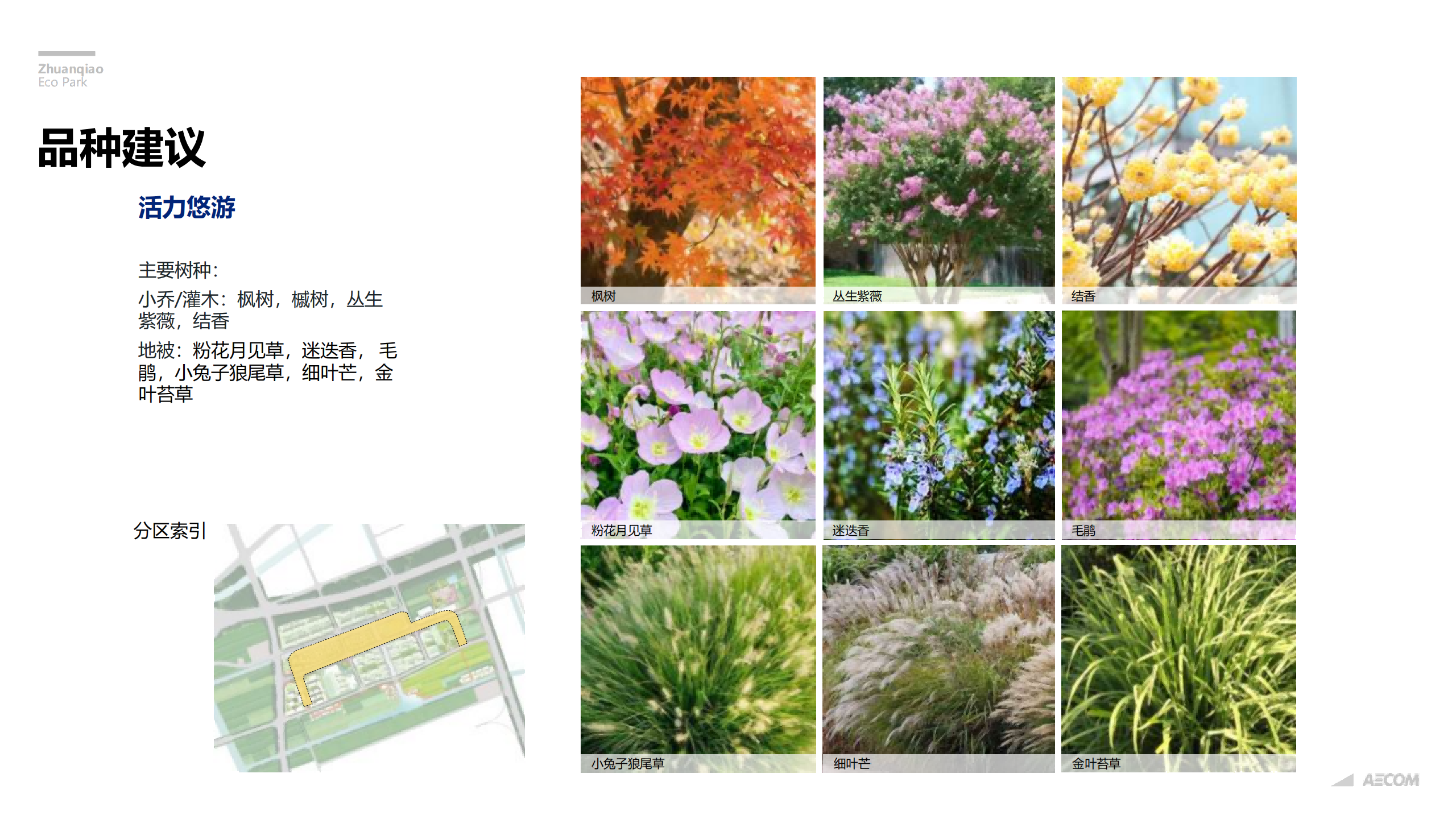 图片[259]-闵行·颛桥中心村生态园策划与规划设计 - 由甫网-由甫网