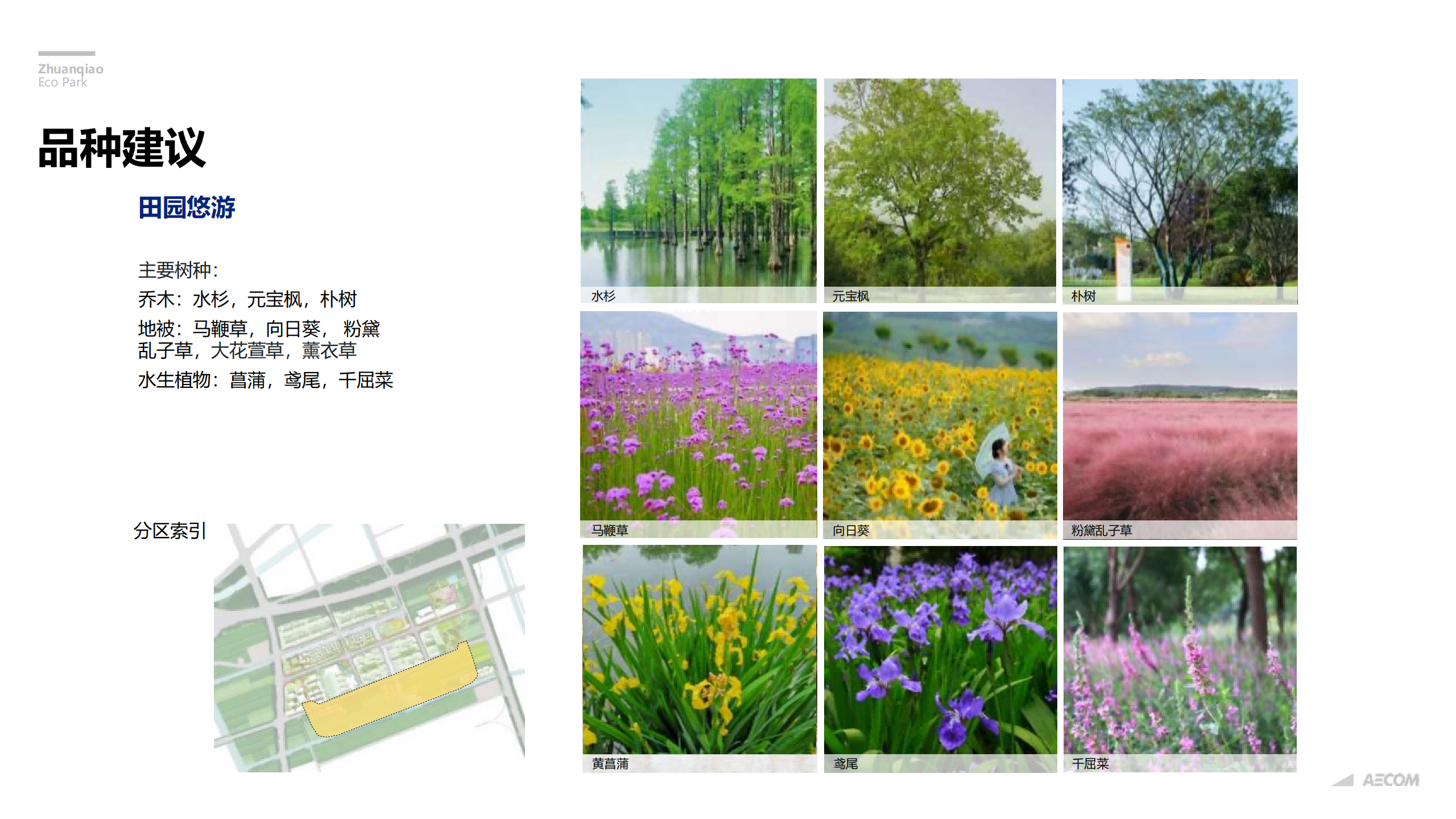 图片[260]-闵行·颛桥中心村生态园策划与规划设计 - 由甫网-由甫网