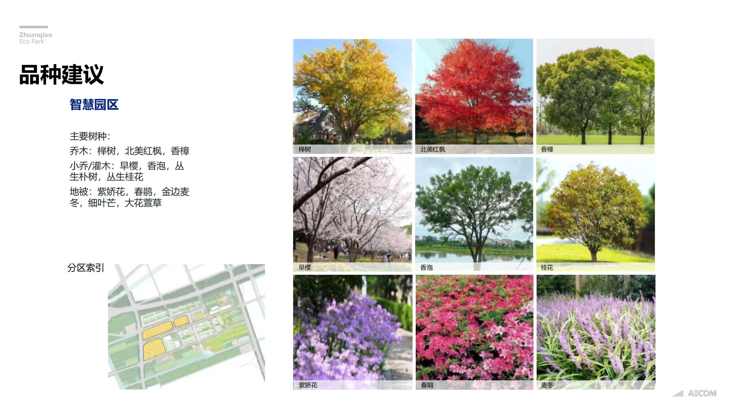 图片[261]-闵行·颛桥中心村生态园策划与规划设计 - 由甫网-由甫网