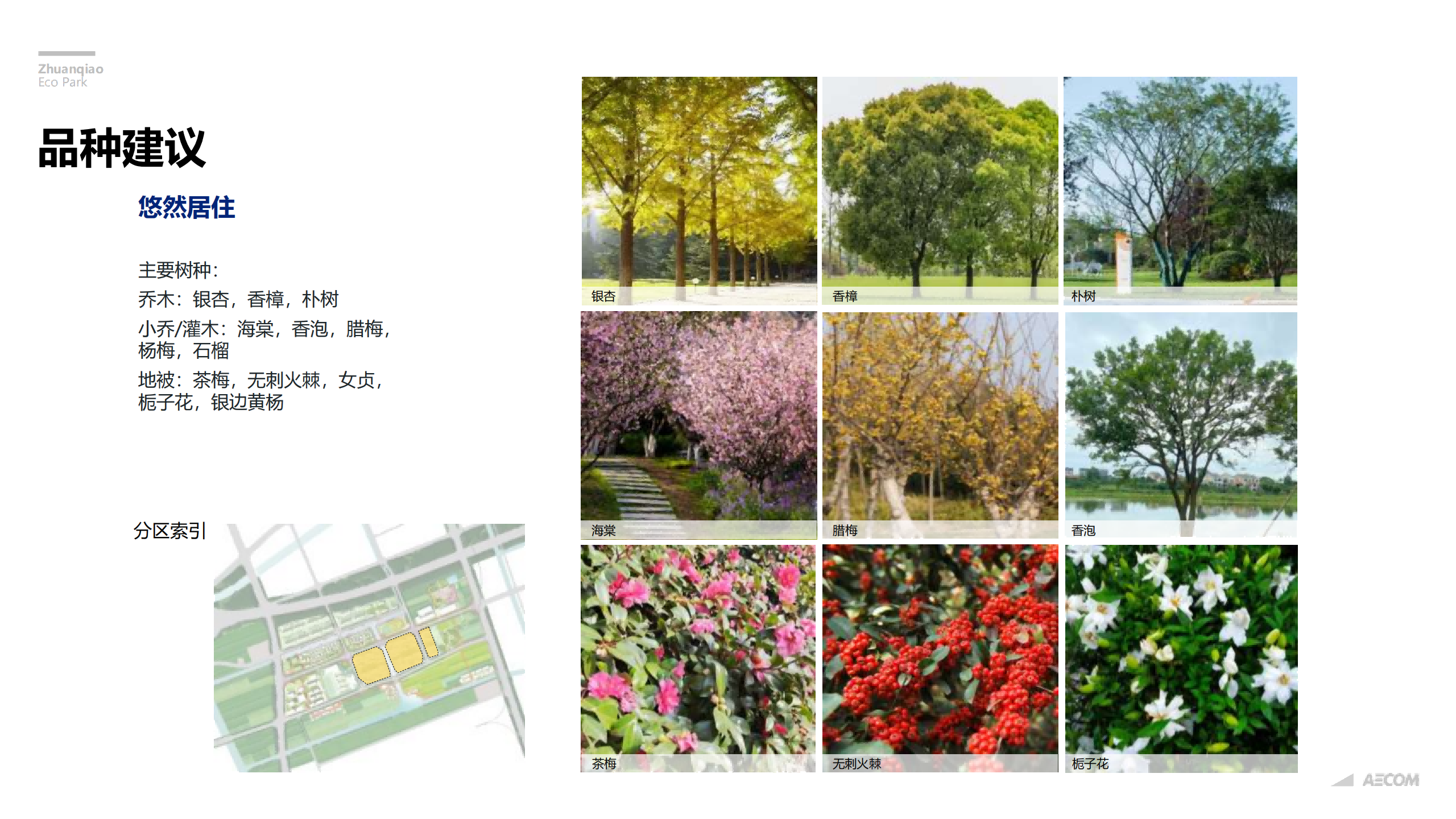 图片[262]-闵行·颛桥中心村生态园策划与规划设计 - 由甫网-由甫网