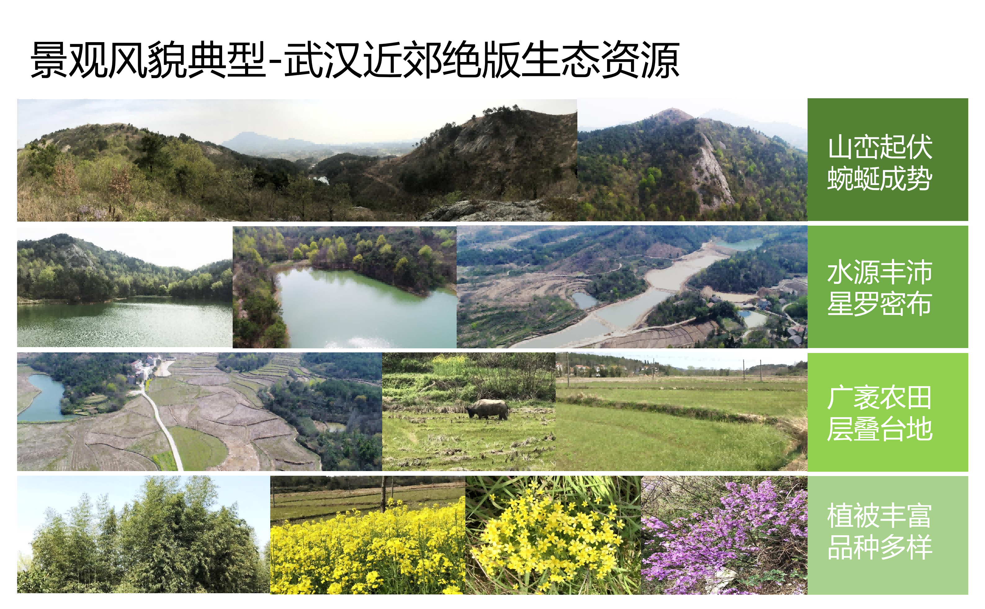 图片[22]-武汉市木兰景区夫子山裕禾田园综合体概念规划 - 由甫网-由甫网