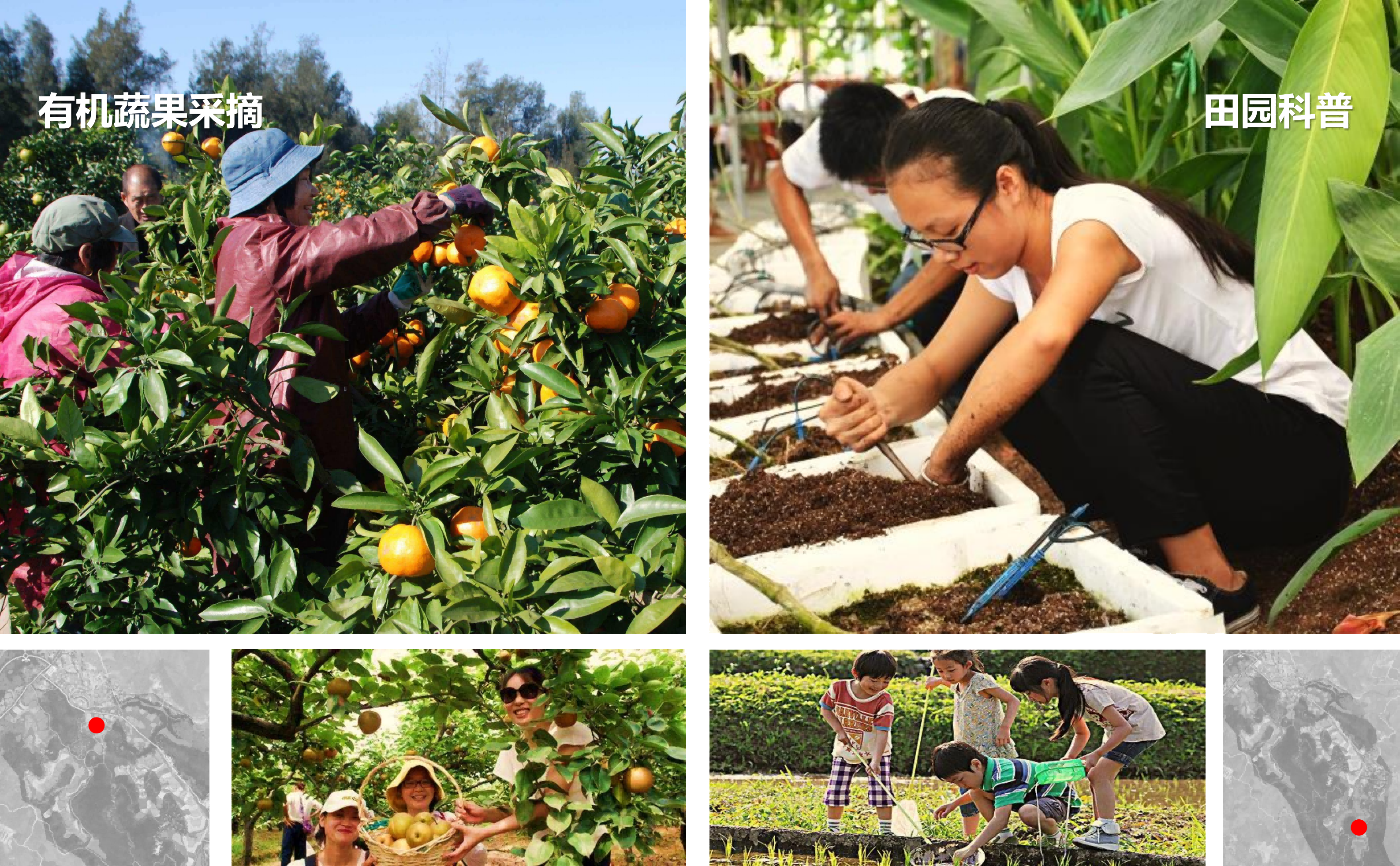 图片[80]-武汉市木兰景区夫子山裕禾田园综合体概念规划 - 由甫网-由甫网
