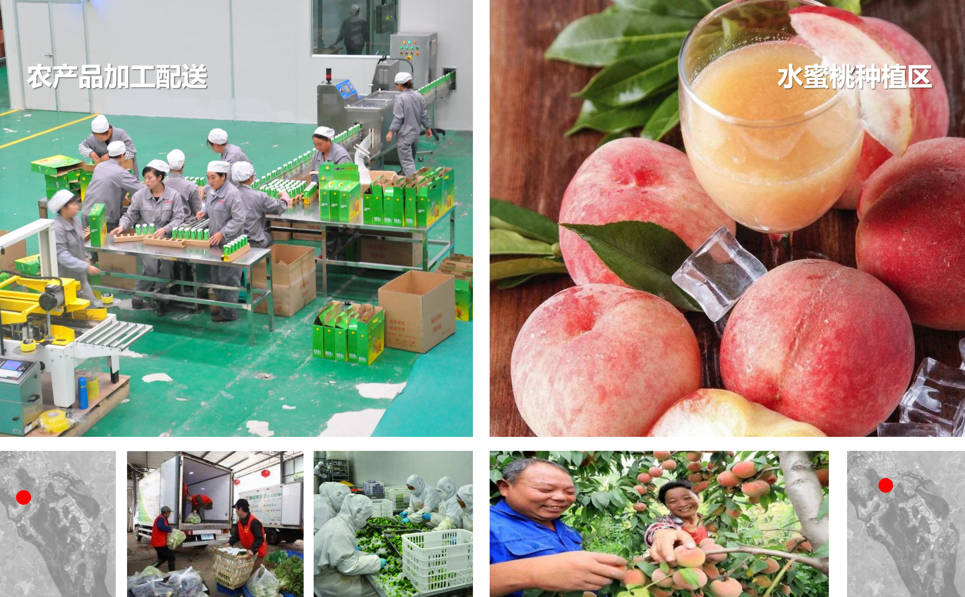 图片[81]-武汉市木兰景区夫子山裕禾田园综合体概念规划 - 由甫网-由甫网