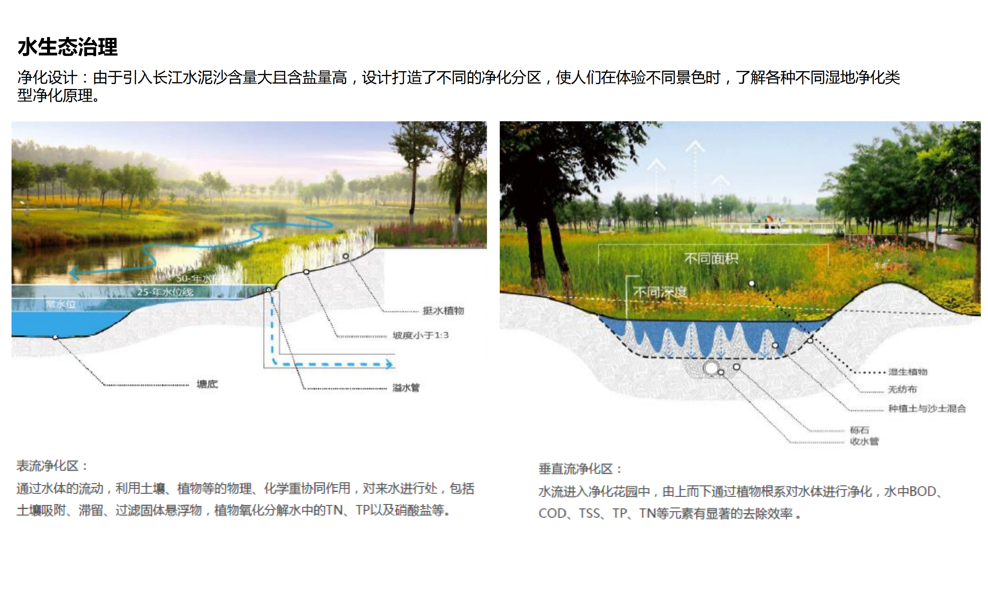 图片[105]-武汉市木兰景区夫子山裕禾田园综合体概念规划 - 由甫网-由甫网