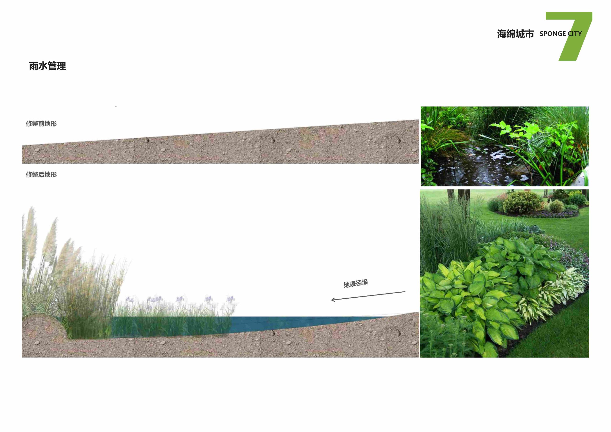 图片[113]-安吉县天子湖镇受荣村荣耀天空度假区旅游总体规划 - 由甫网-由甫网