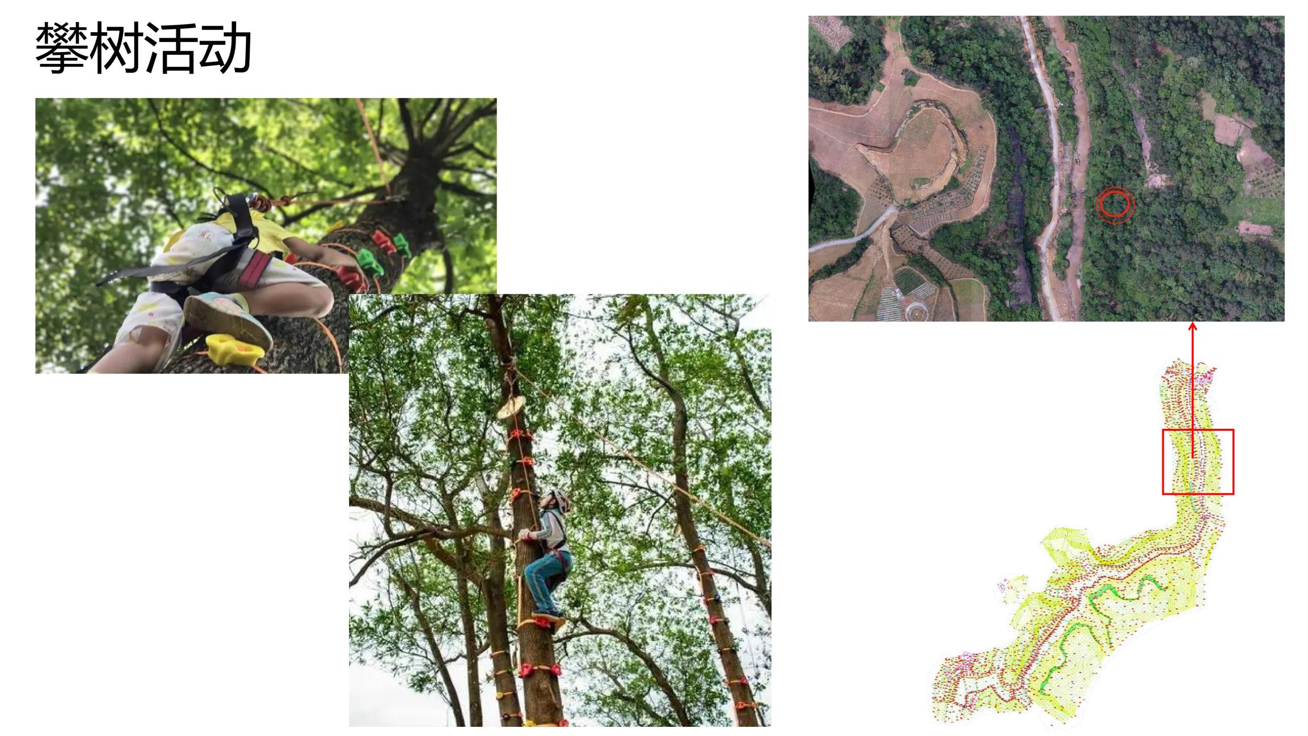 图片[86]-【四川】仁寿宝飞镇景区文农旅融合项目总规一期建设项目景观深化 - 由甫网-由甫网