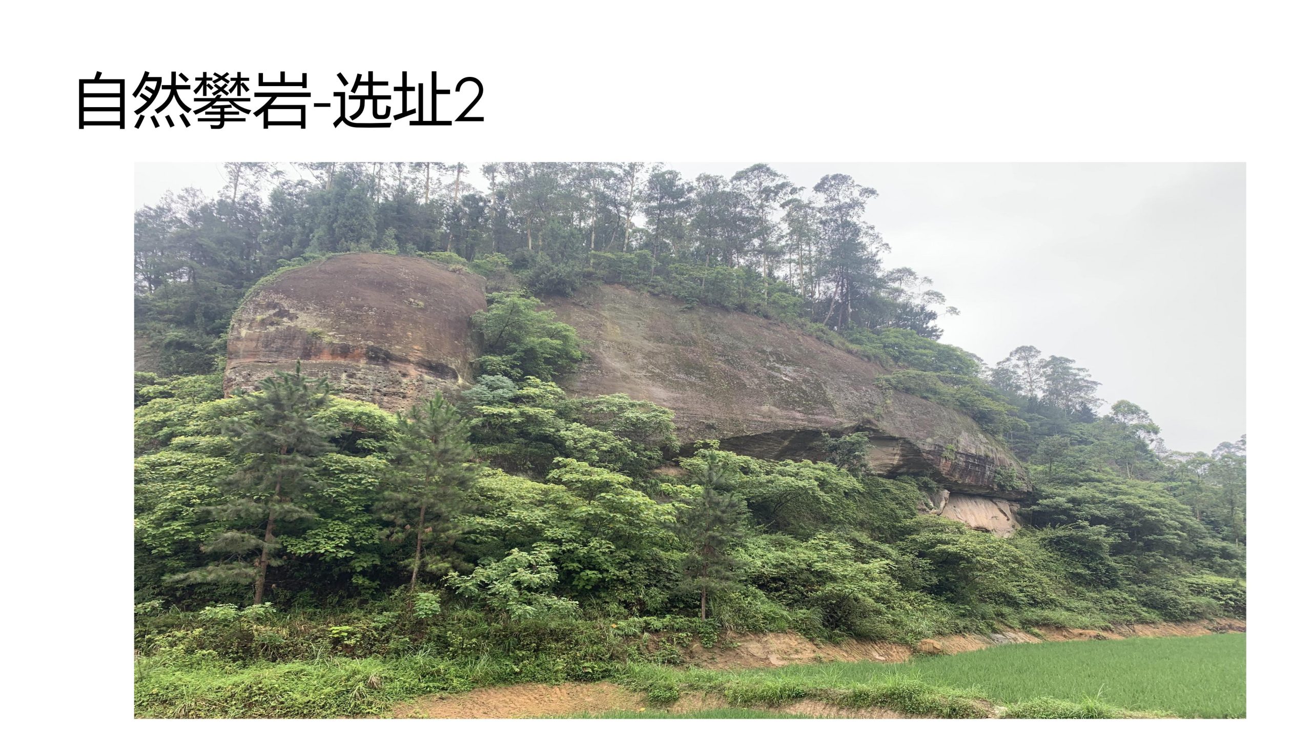 图片[88]-【四川】仁寿宝飞镇景区文农旅融合项目总规一期建设项目景观深化 - 由甫网-由甫网