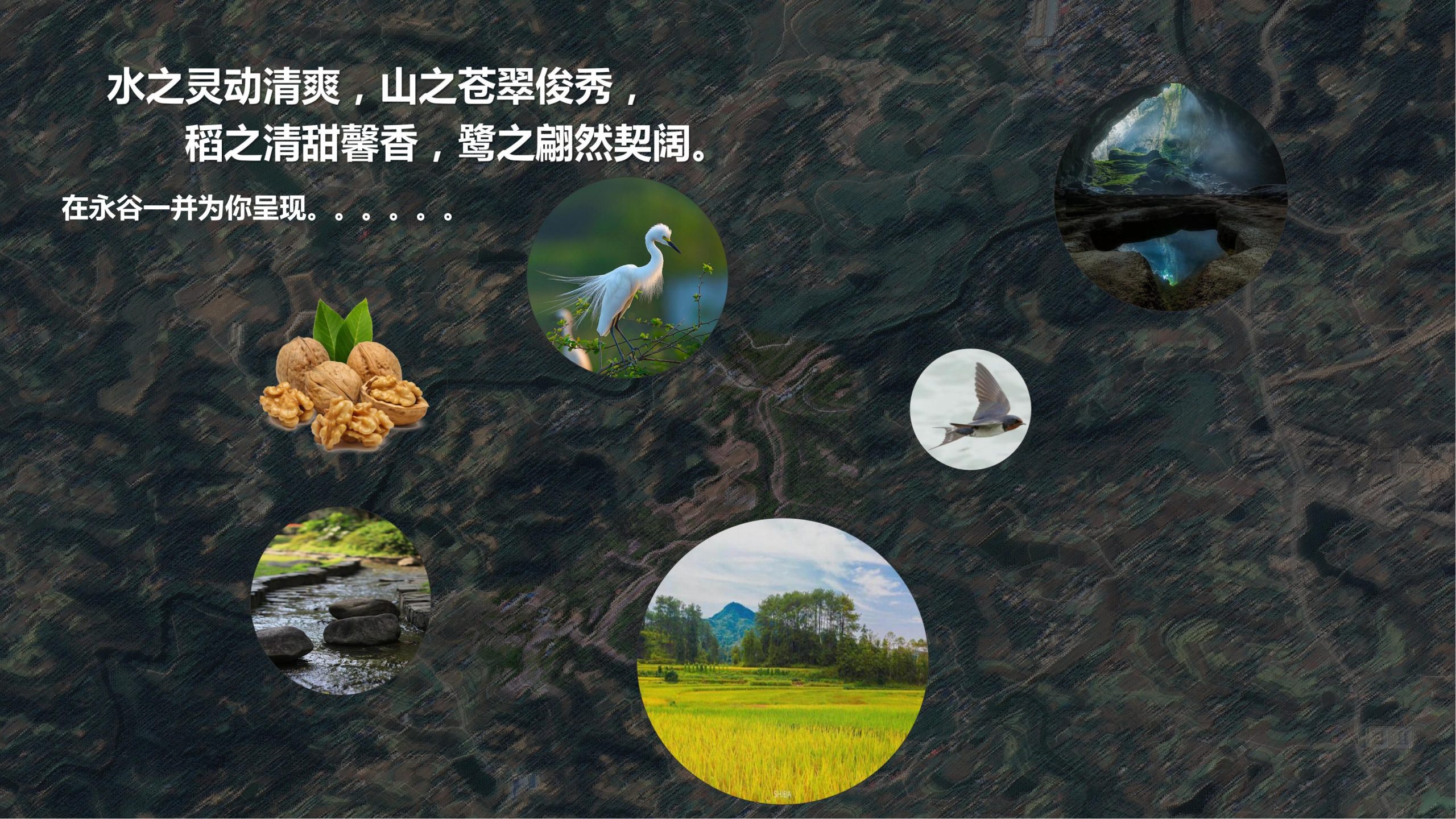 图片[9]-【四川】仁寿宝飞镇景区文农旅融合项目总规一期建设项目景观深化 - 由甫网-由甫网