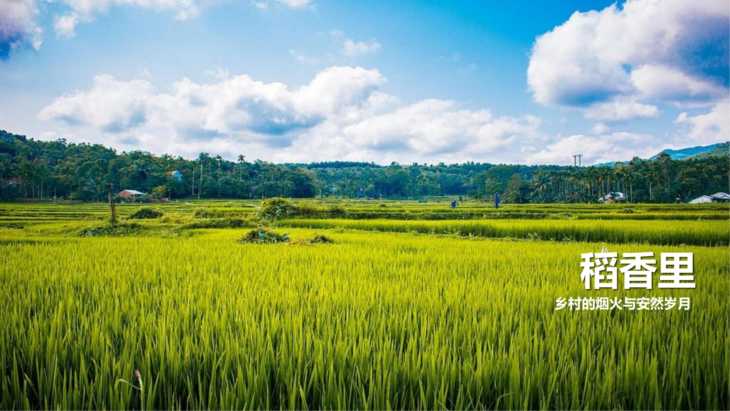 图片[10]-【四川】仁寿宝飞镇景区文农旅融合项目总规一期建设项目景观深化 - 由甫网-由甫网