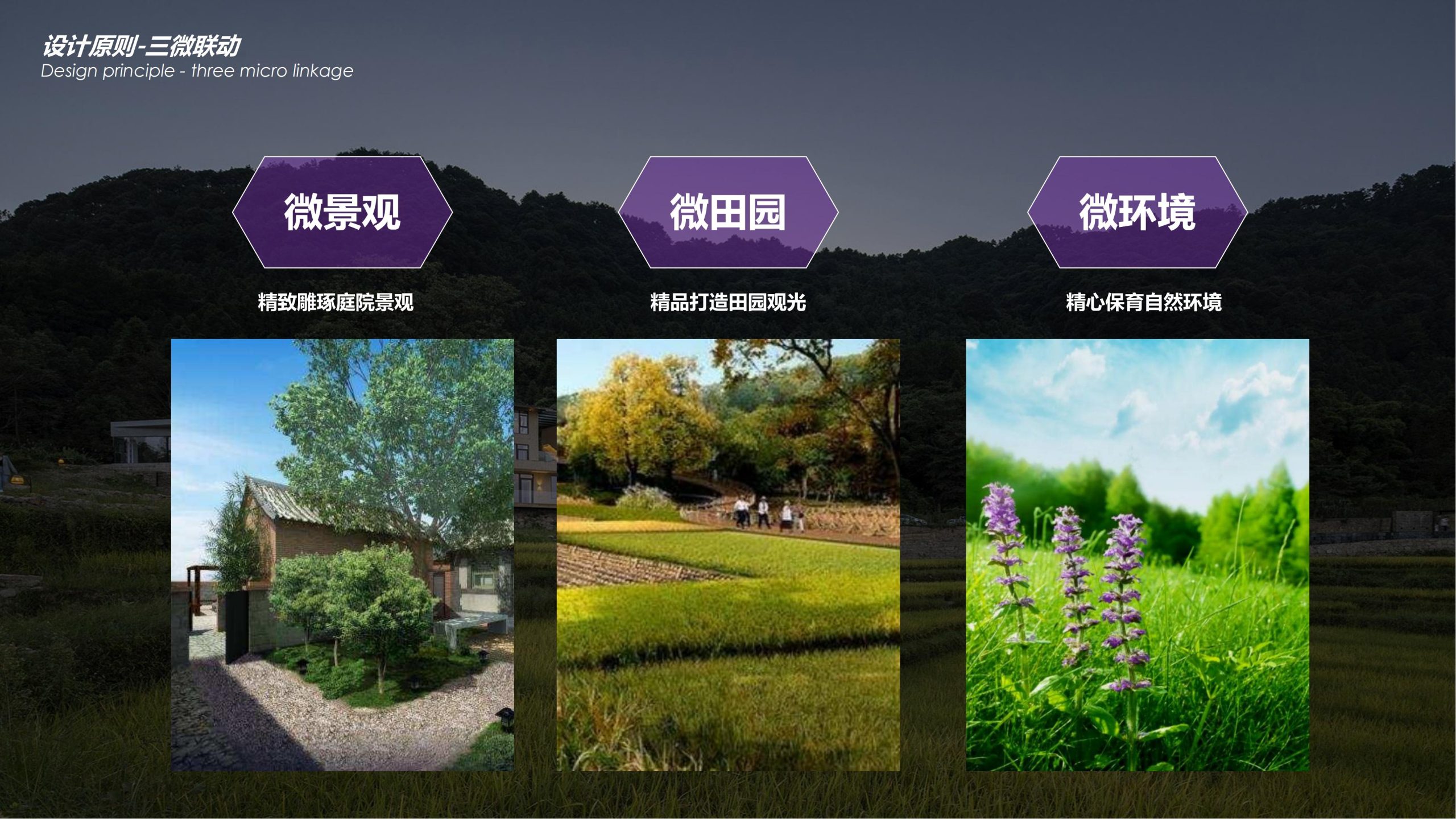 图片[14]-【四川】仁寿宝飞镇景区文农旅融合项目总规一期建设项目景观深化 - 由甫网-由甫网