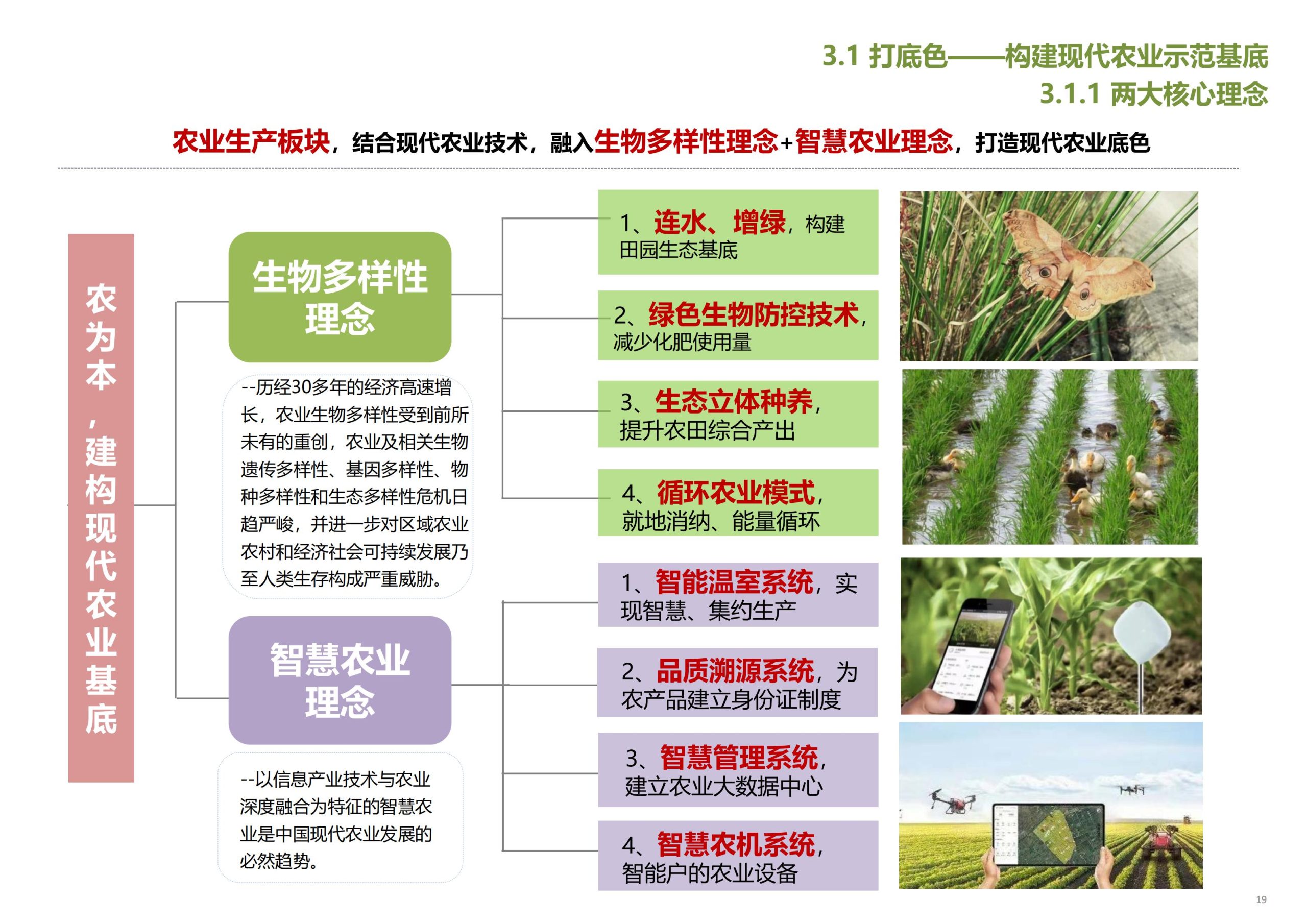 图片[20]-【上海】青浦区和睦村田园综合体策划方案 - 由甫网-由甫网