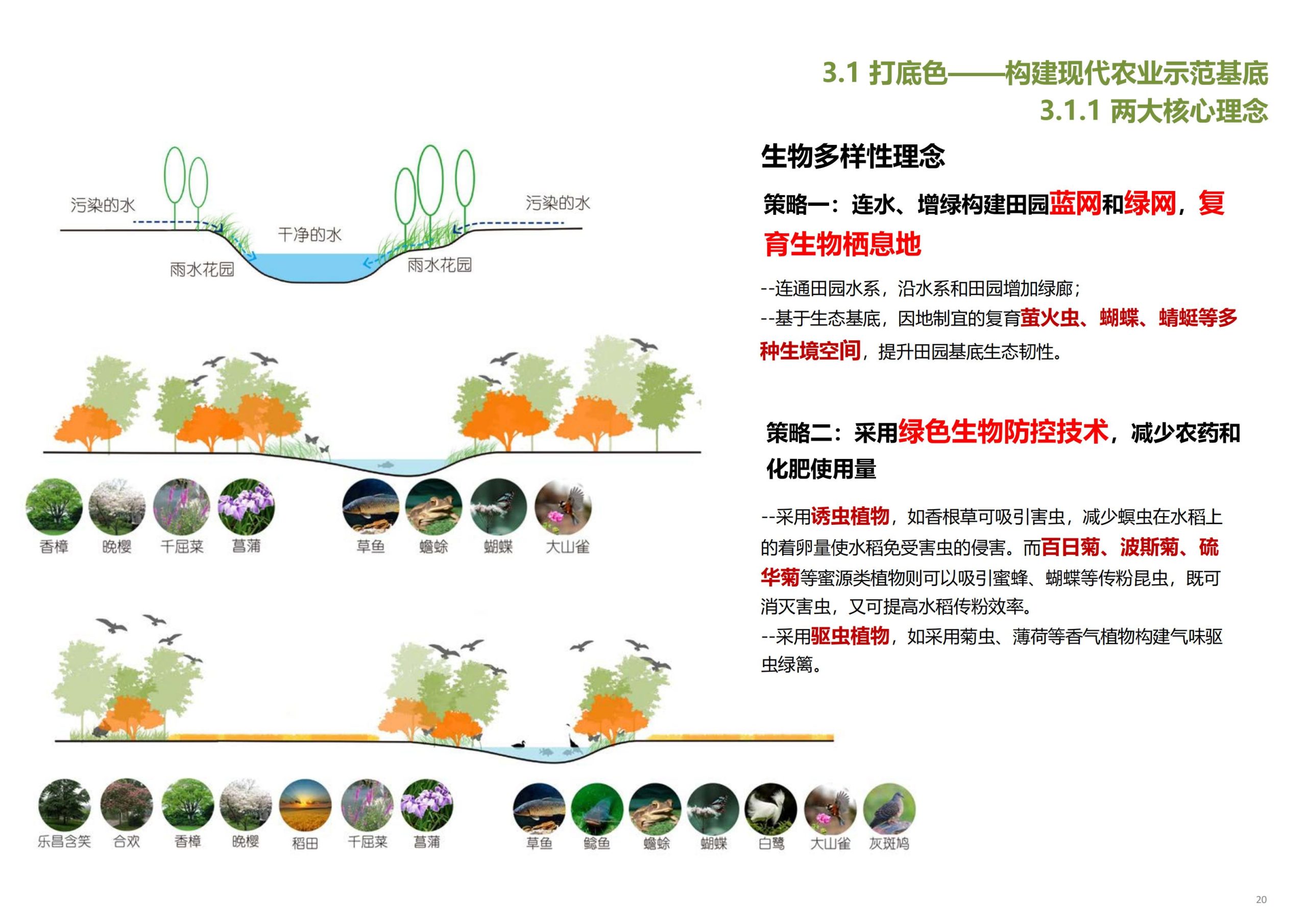 图片[21]-【上海】青浦区和睦村田园综合体策划方案 - 由甫网-由甫网