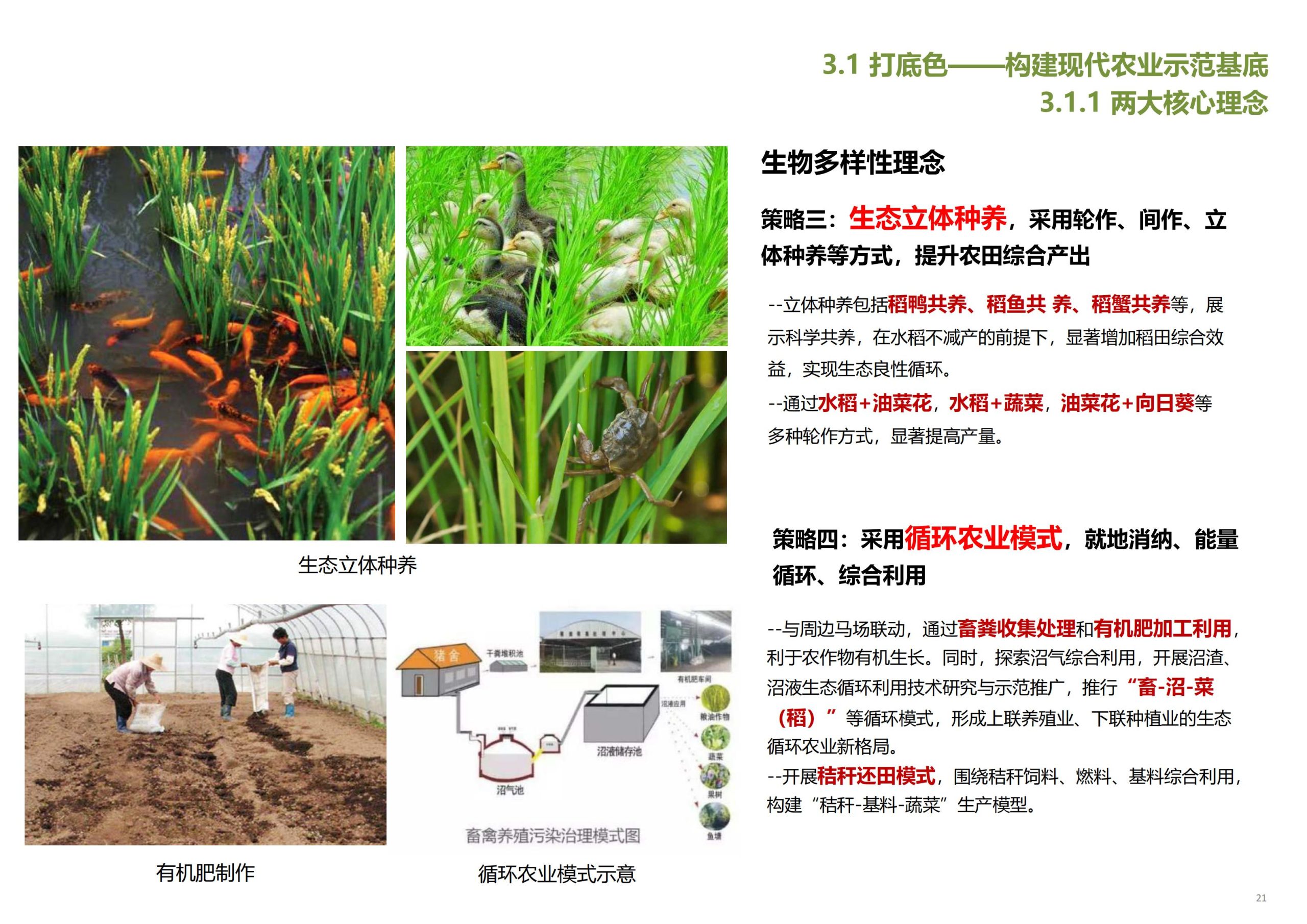 图片[22]-【上海】青浦区和睦村田园综合体策划方案 - 由甫网-由甫网