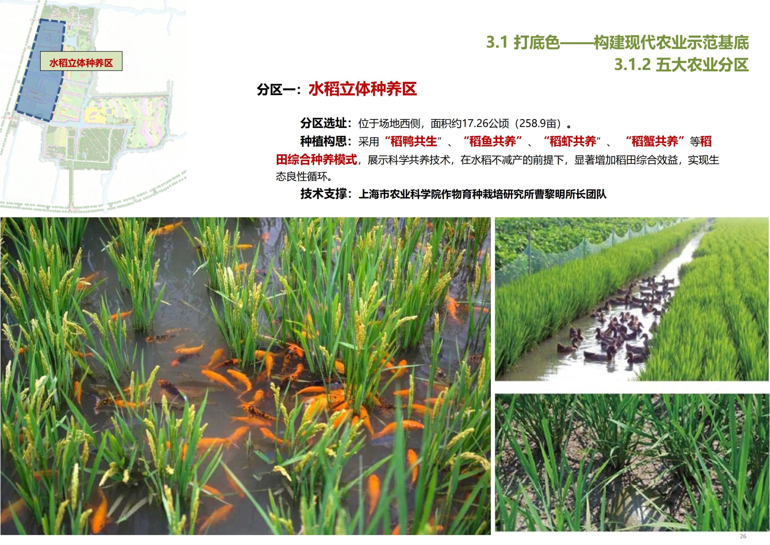 图片[27]-【上海】青浦区和睦村田园综合体策划方案 - 由甫网-由甫网